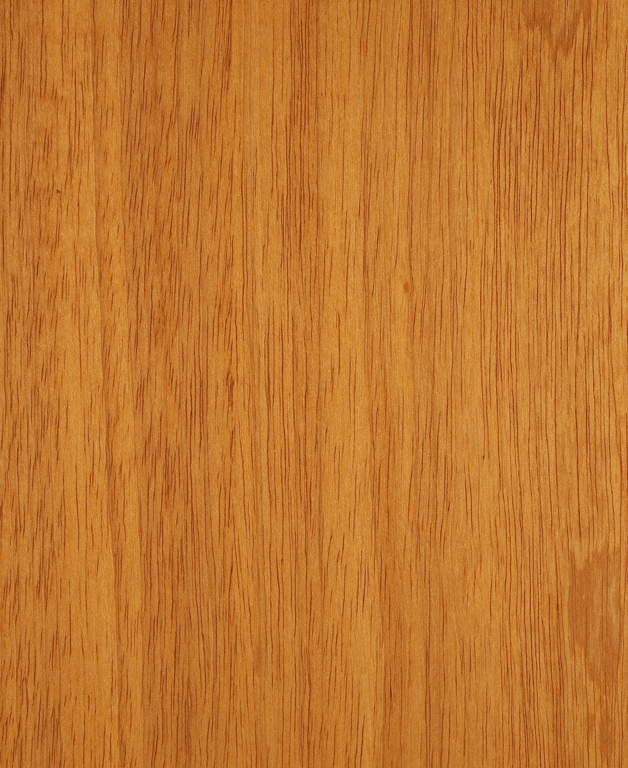 picture alternative text