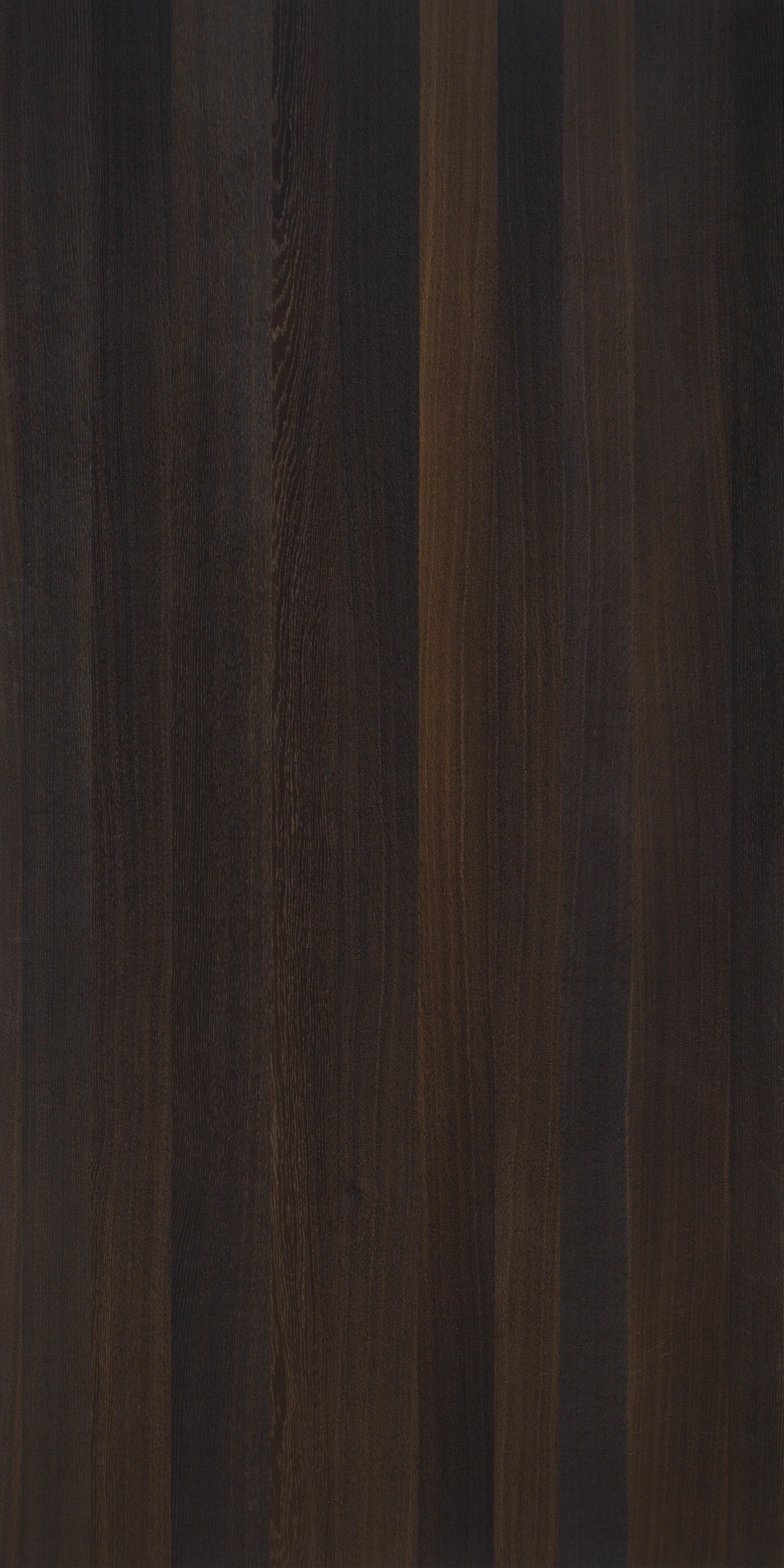 picture alternative text