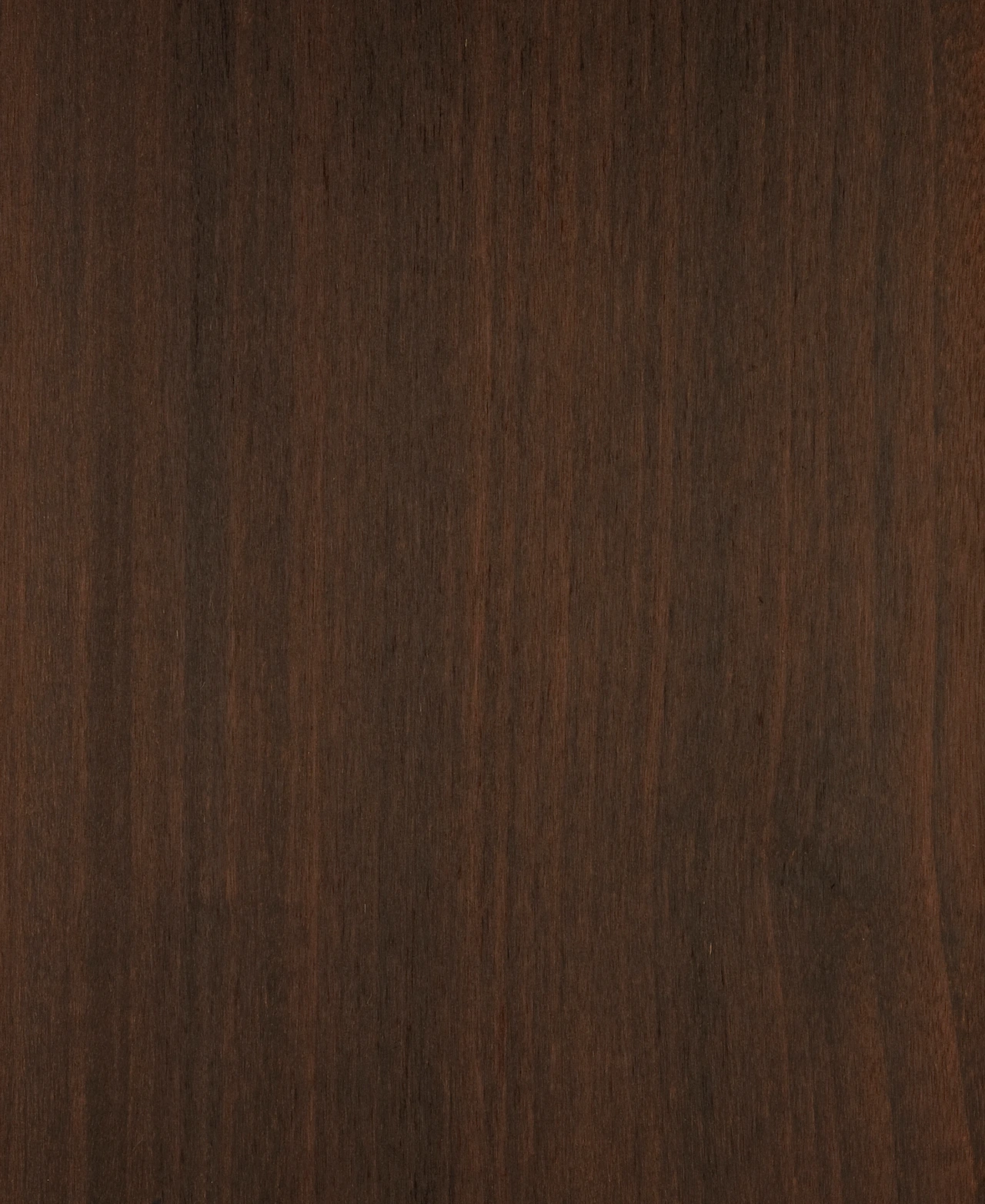 picture alternative text