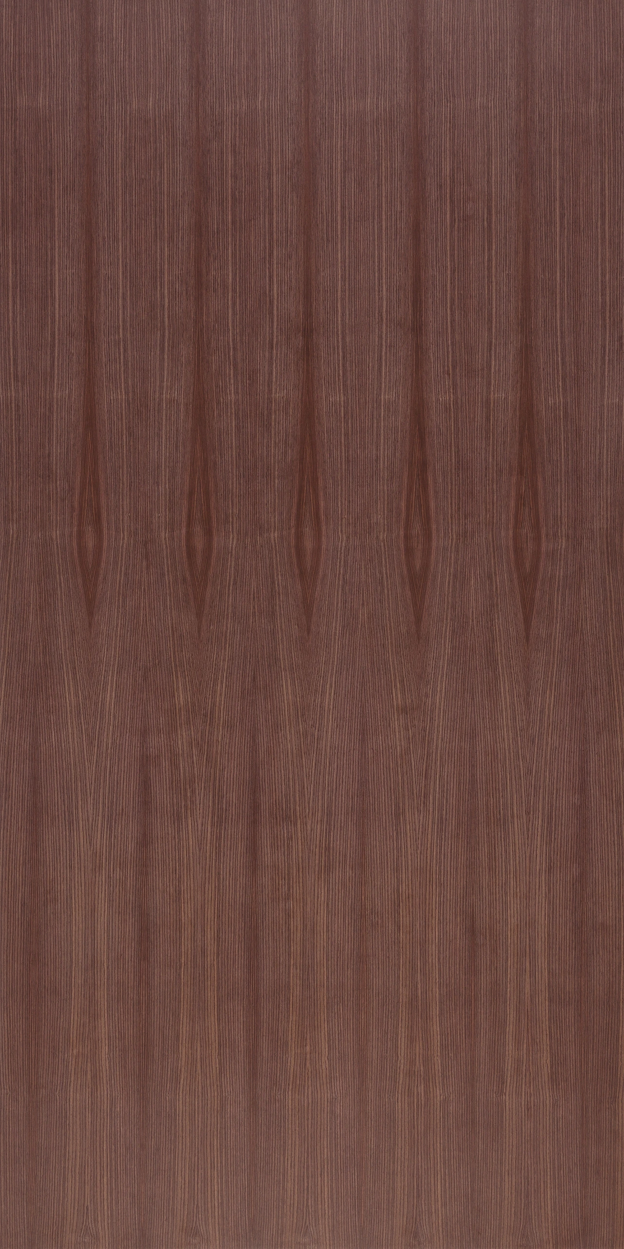 picture alternative text