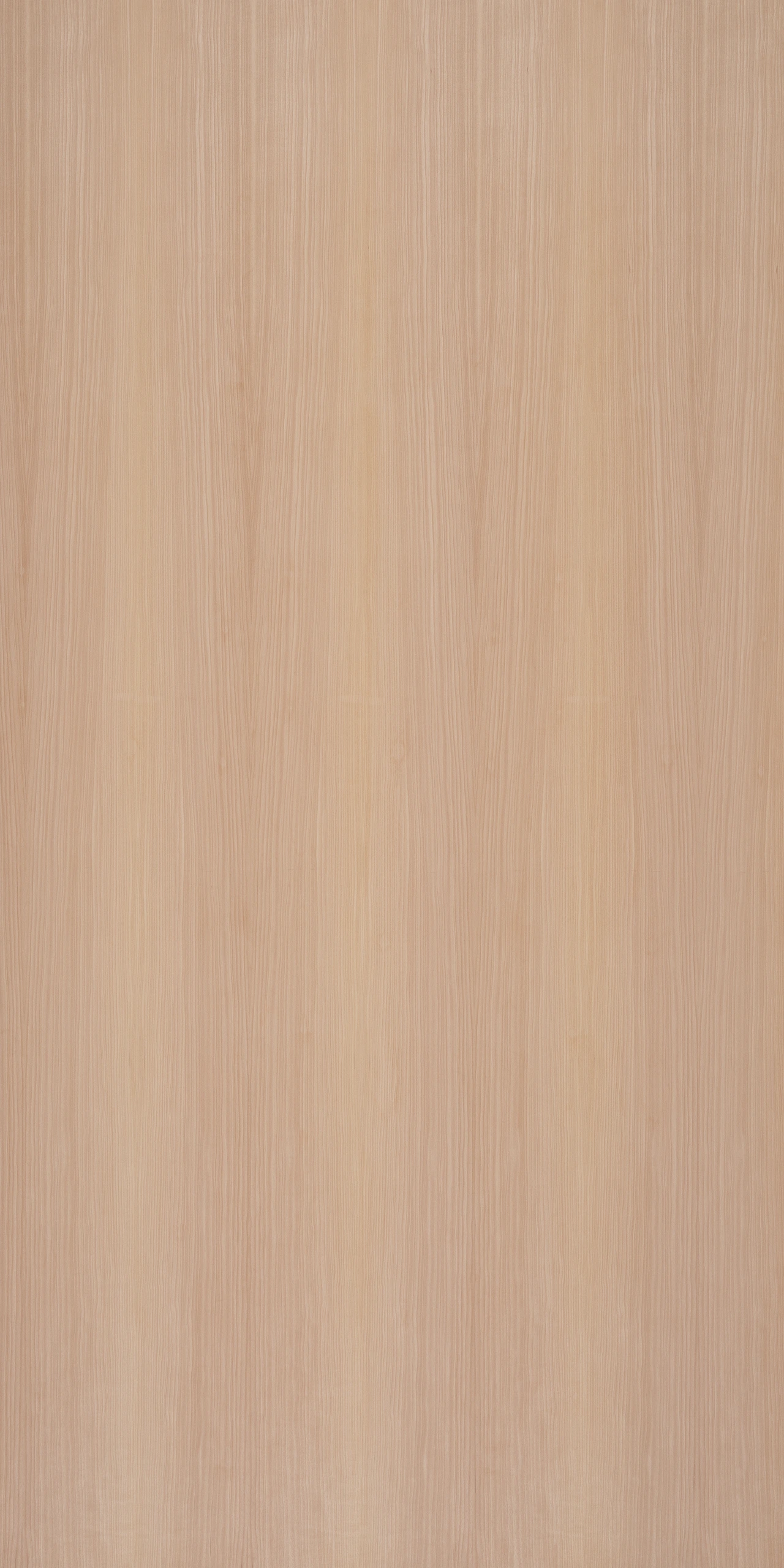 picture alternative text