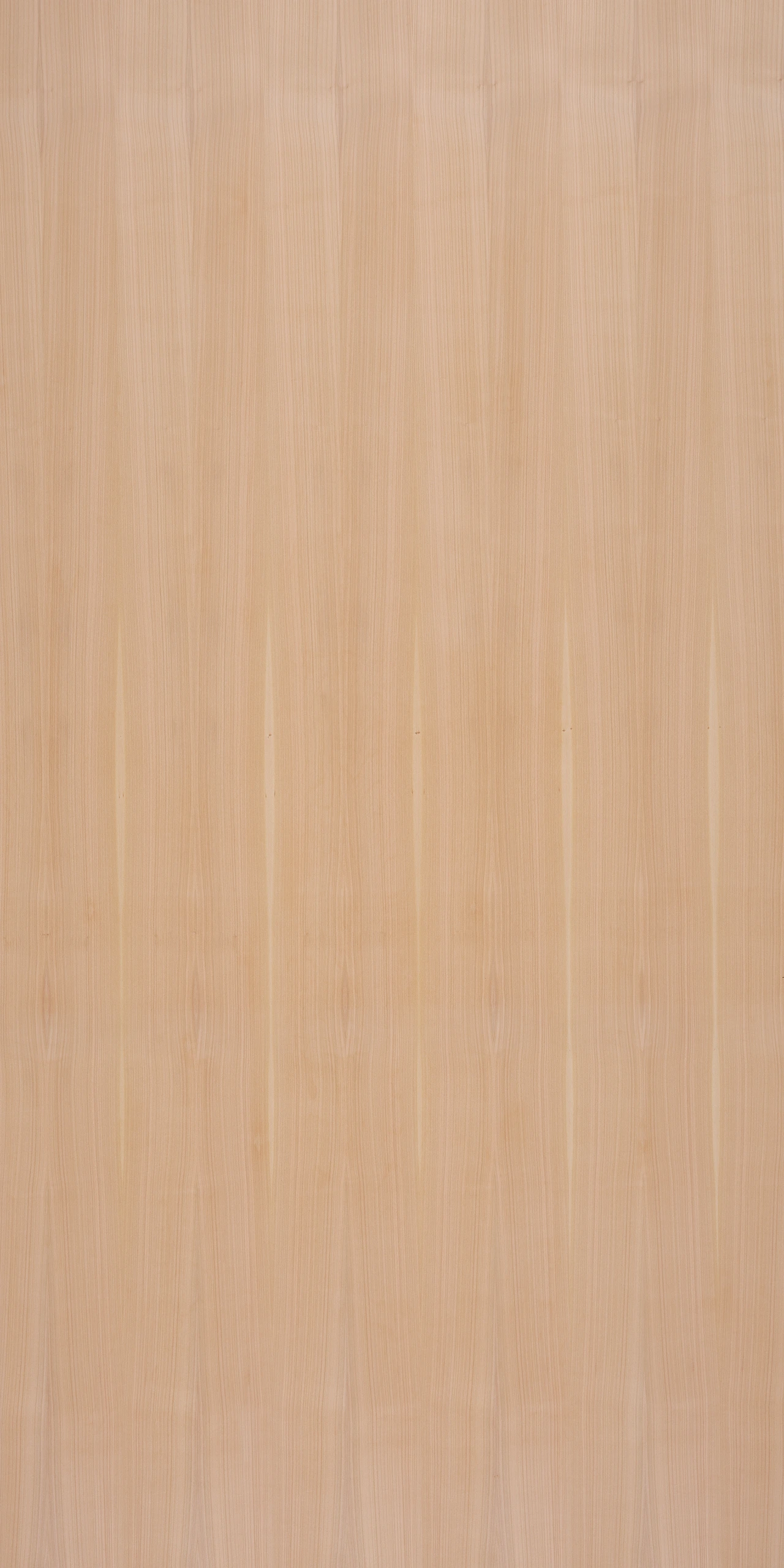 picture alternative text