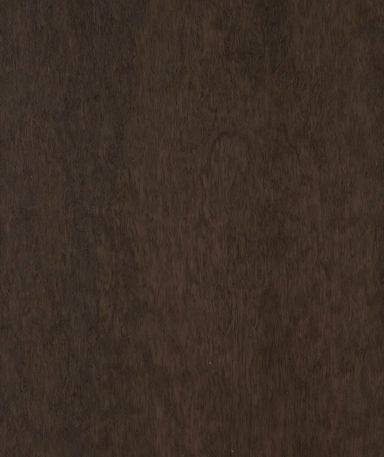 picture alternative text