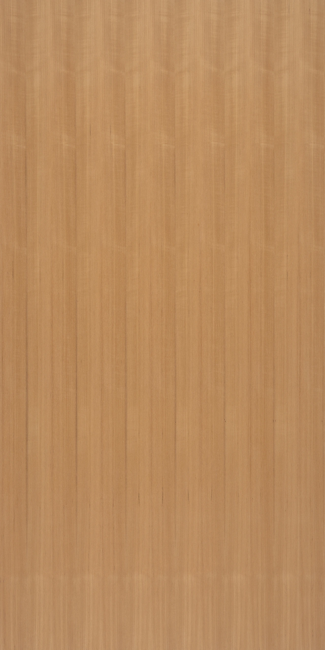 picture alternative text