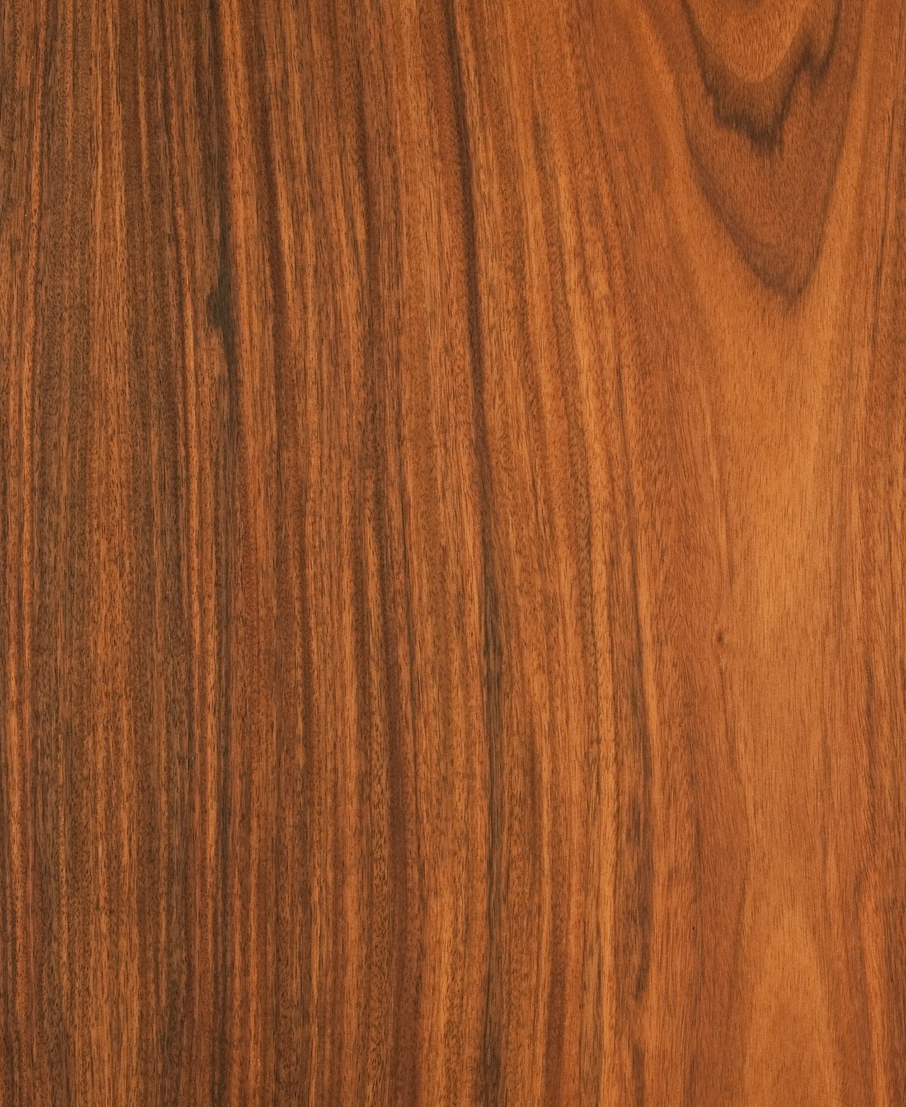 picture alternative text