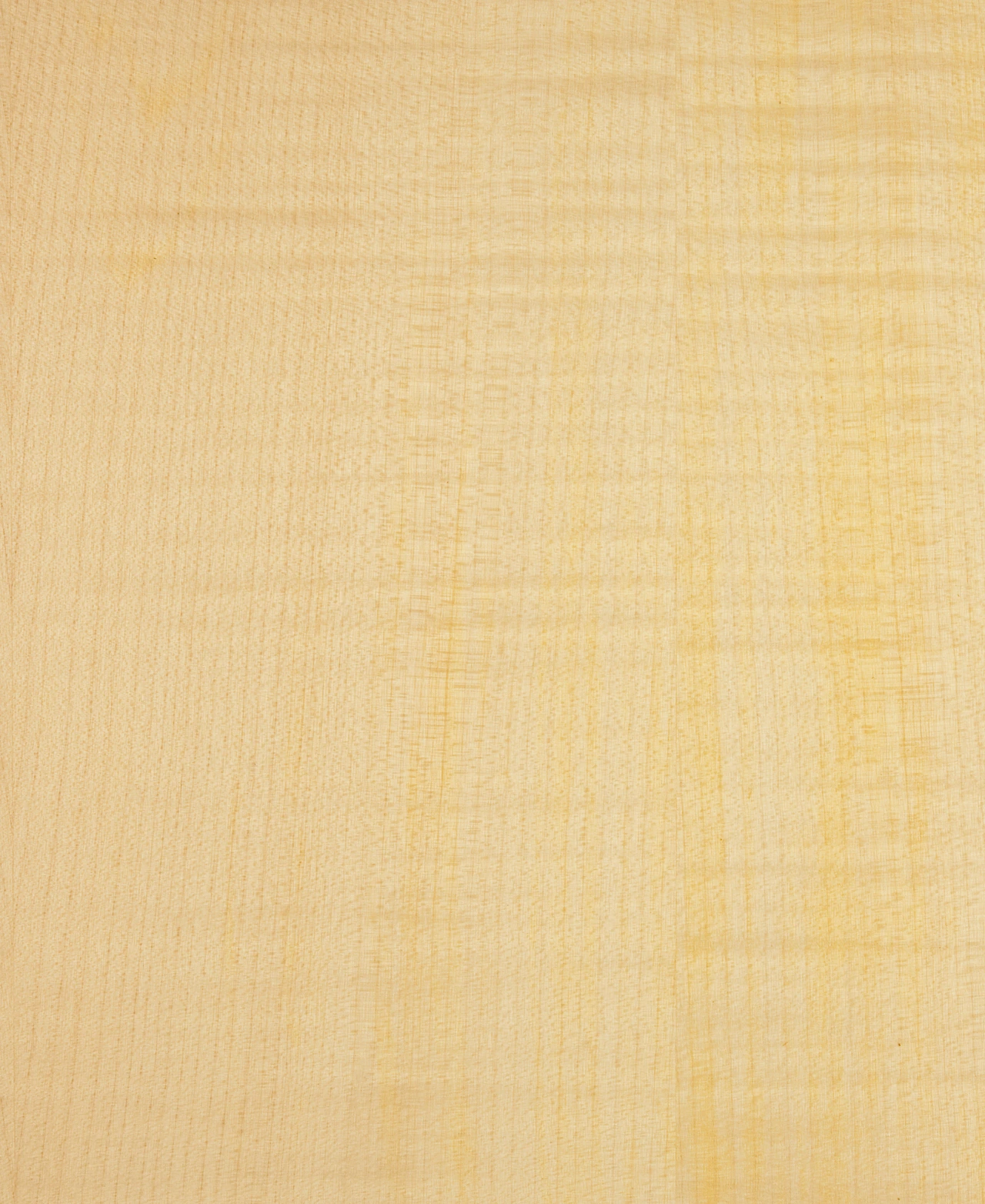 picture alternative text