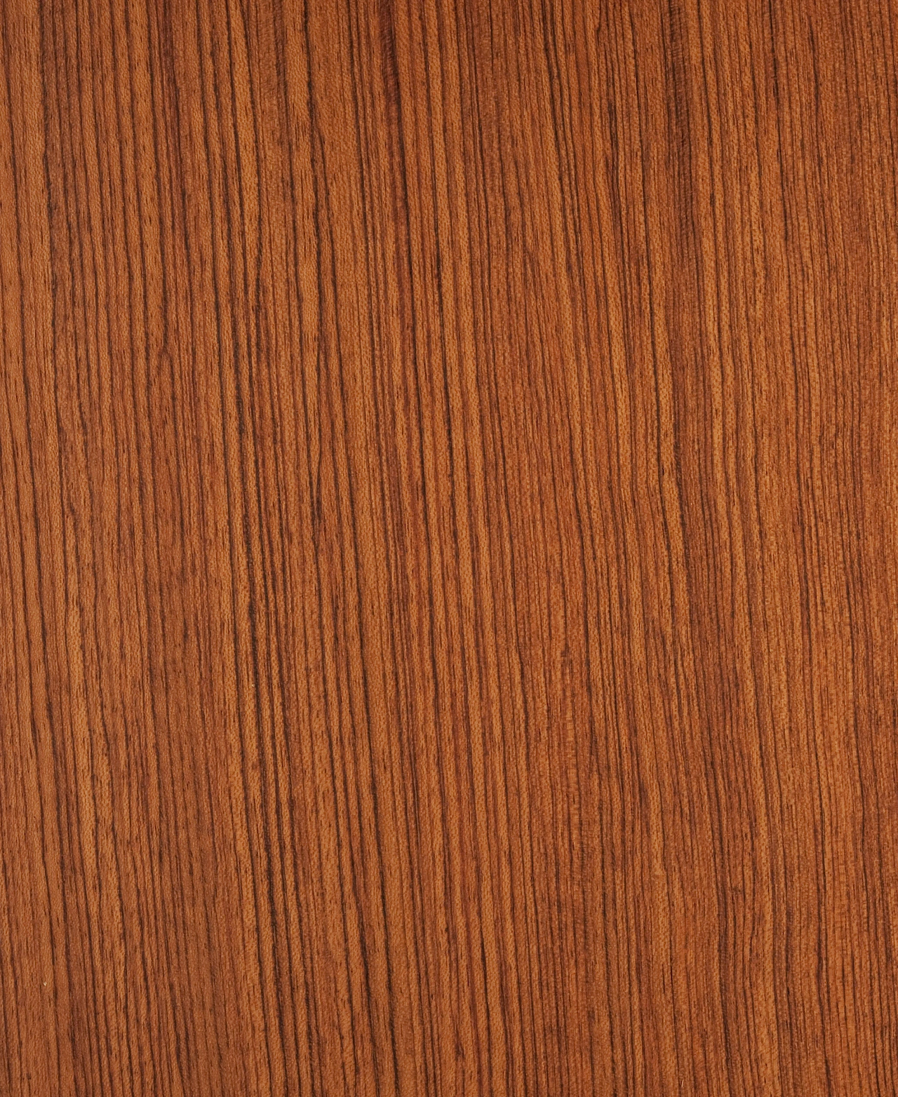 picture alternative text