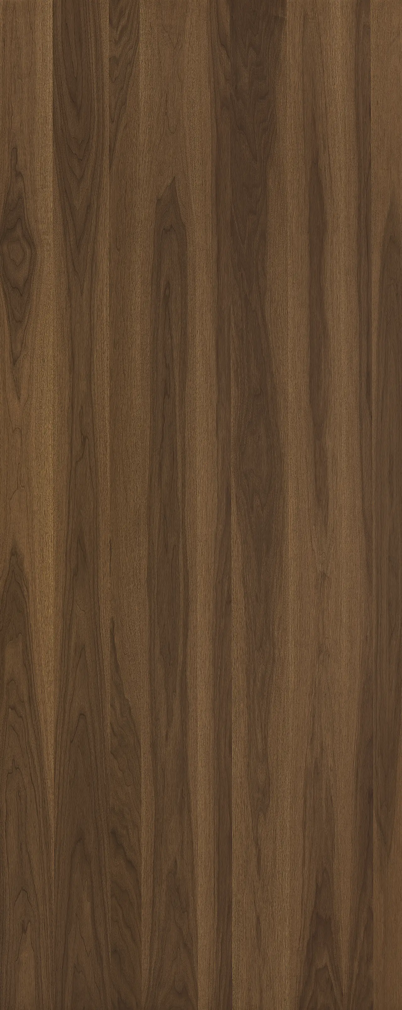 picture alternative text