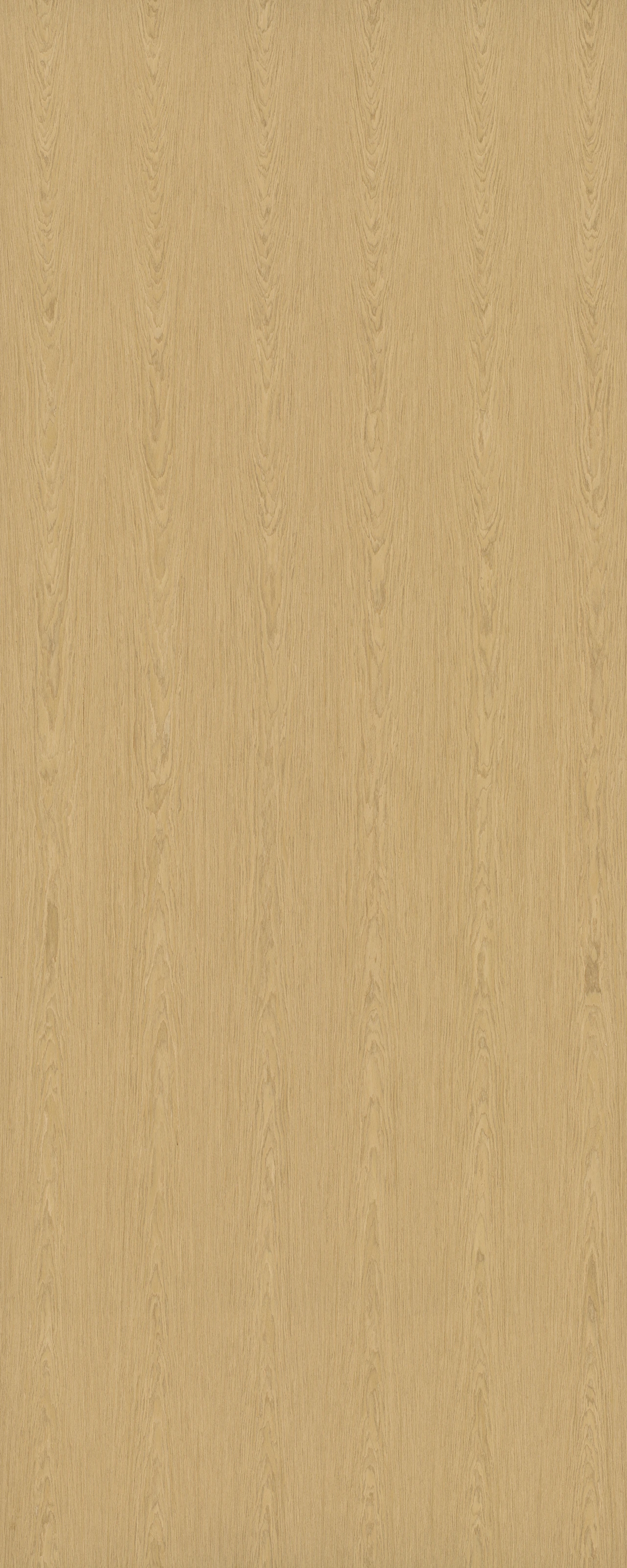 picture alternative text