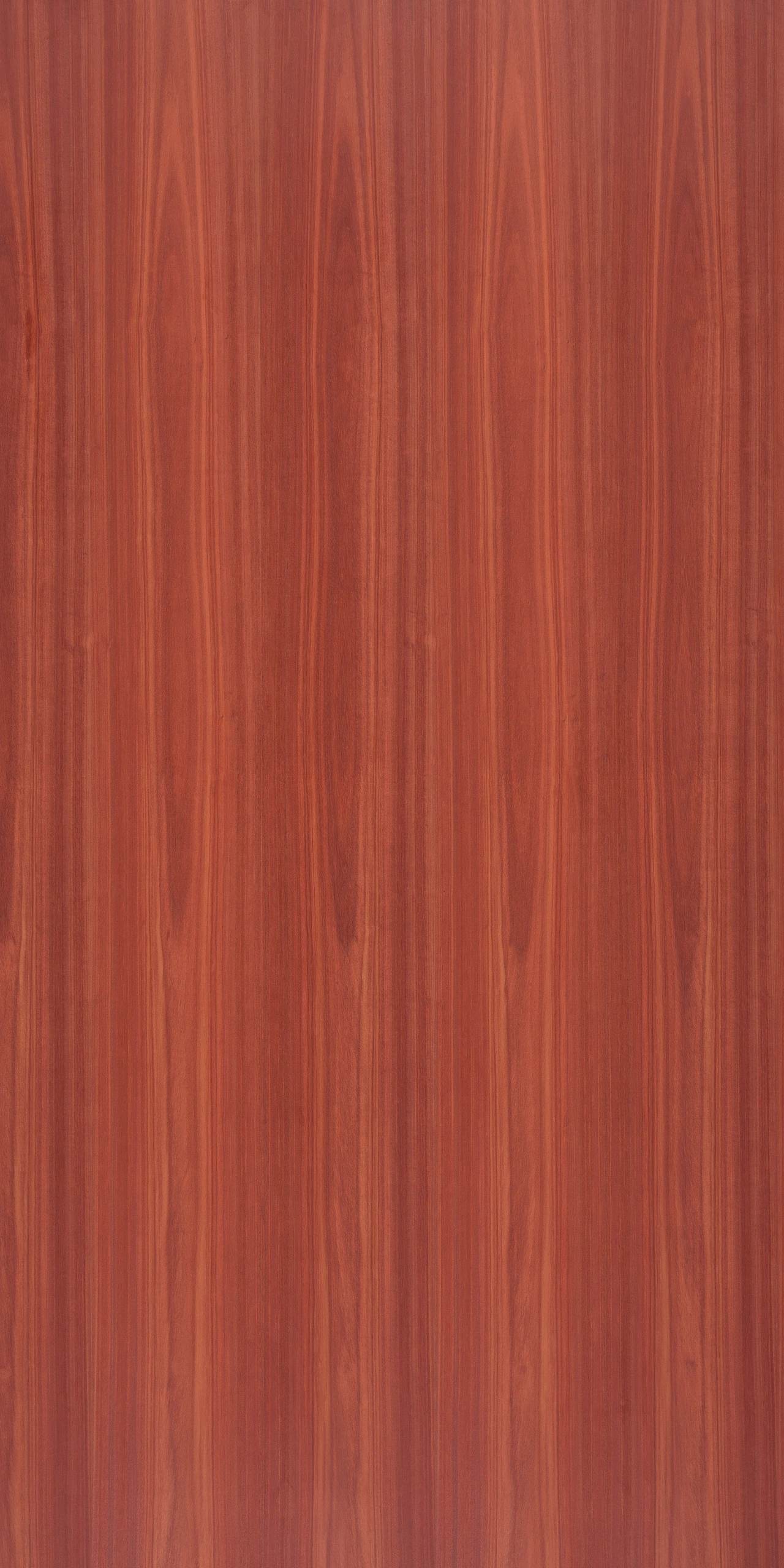 picture alternative text