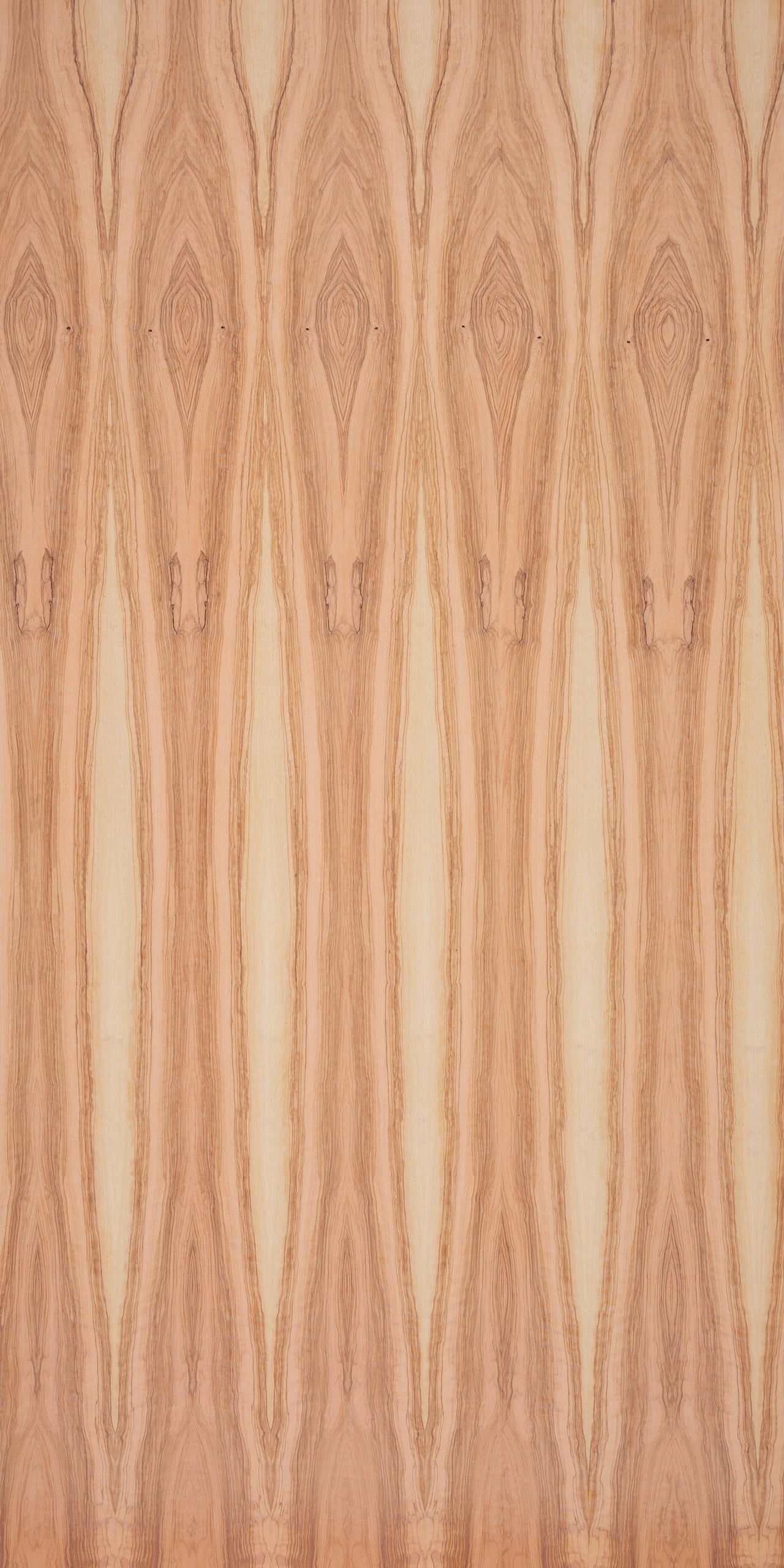 picture alternative text