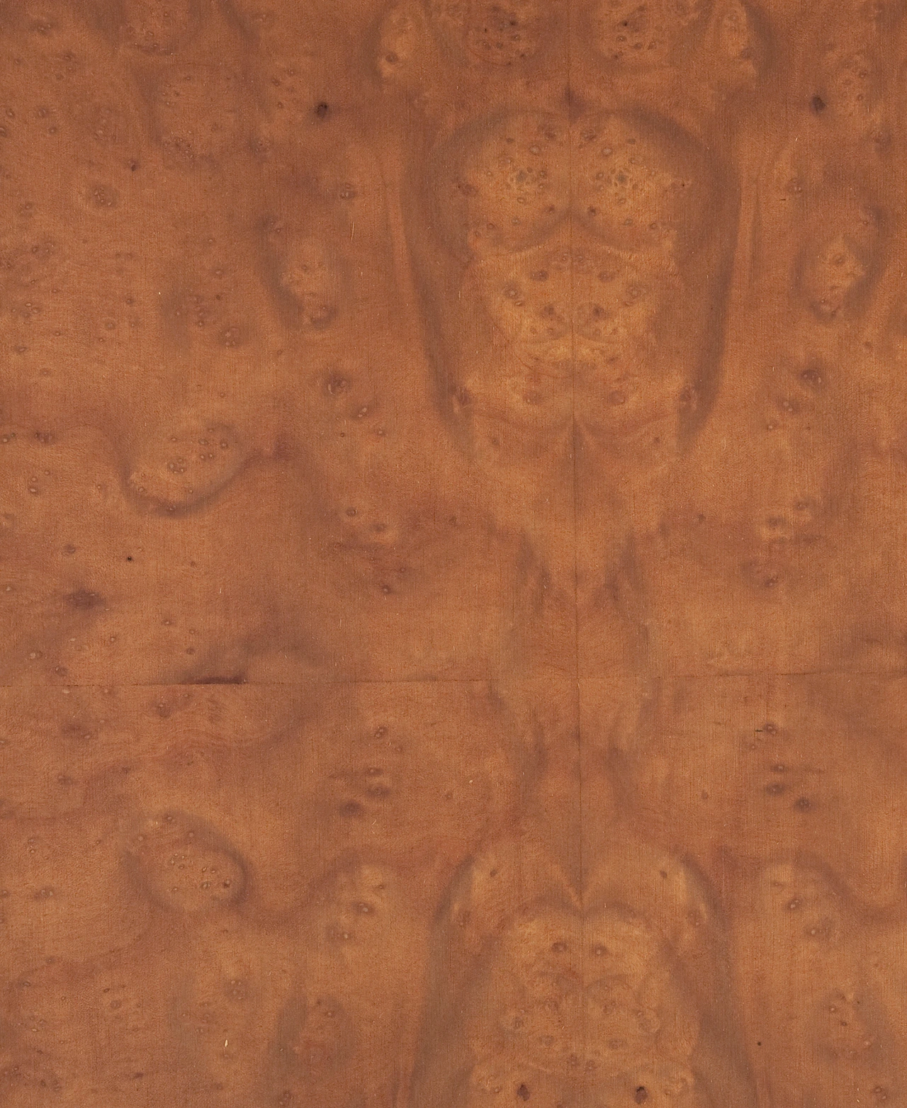 picture alternative text