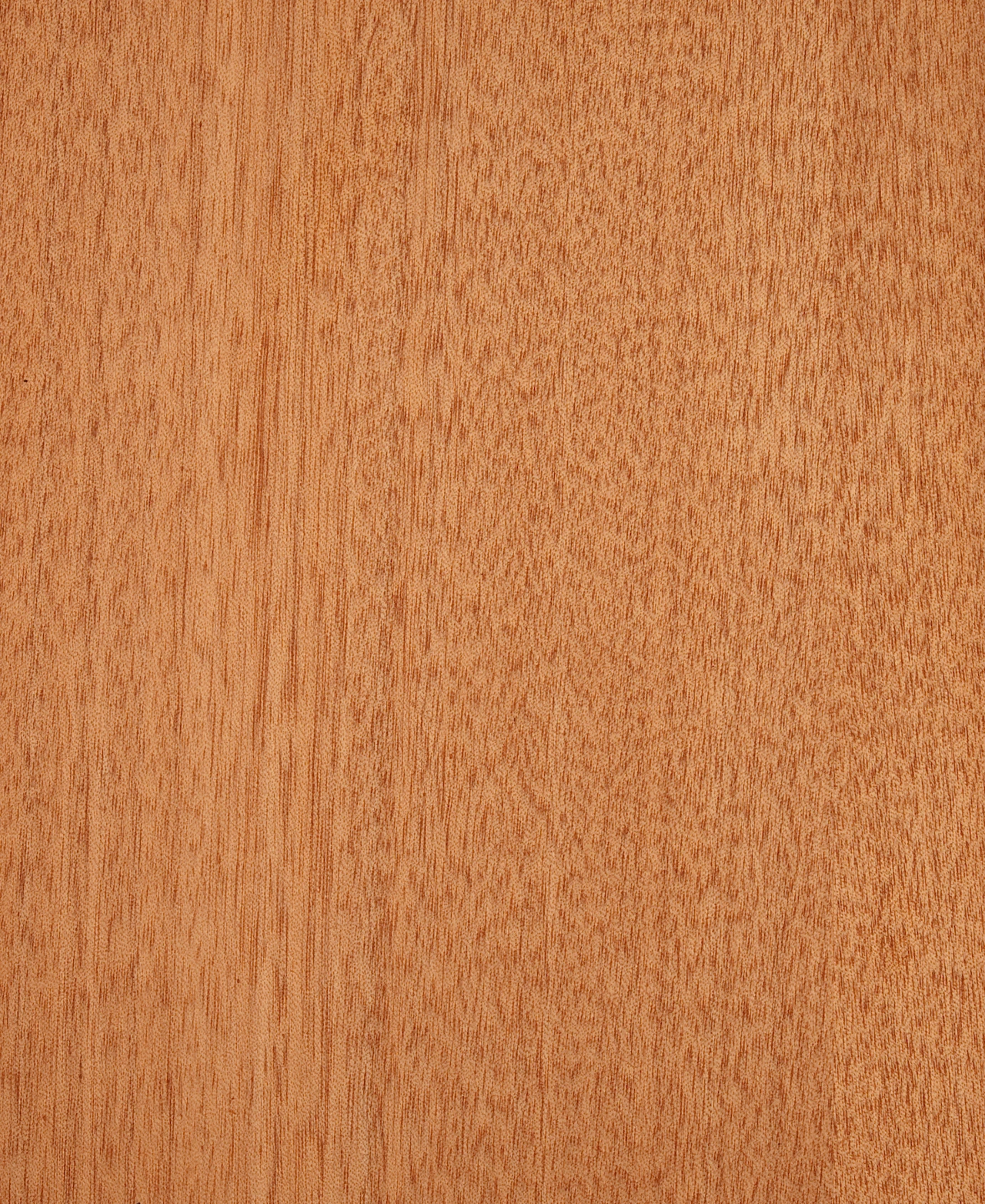 picture alternative text