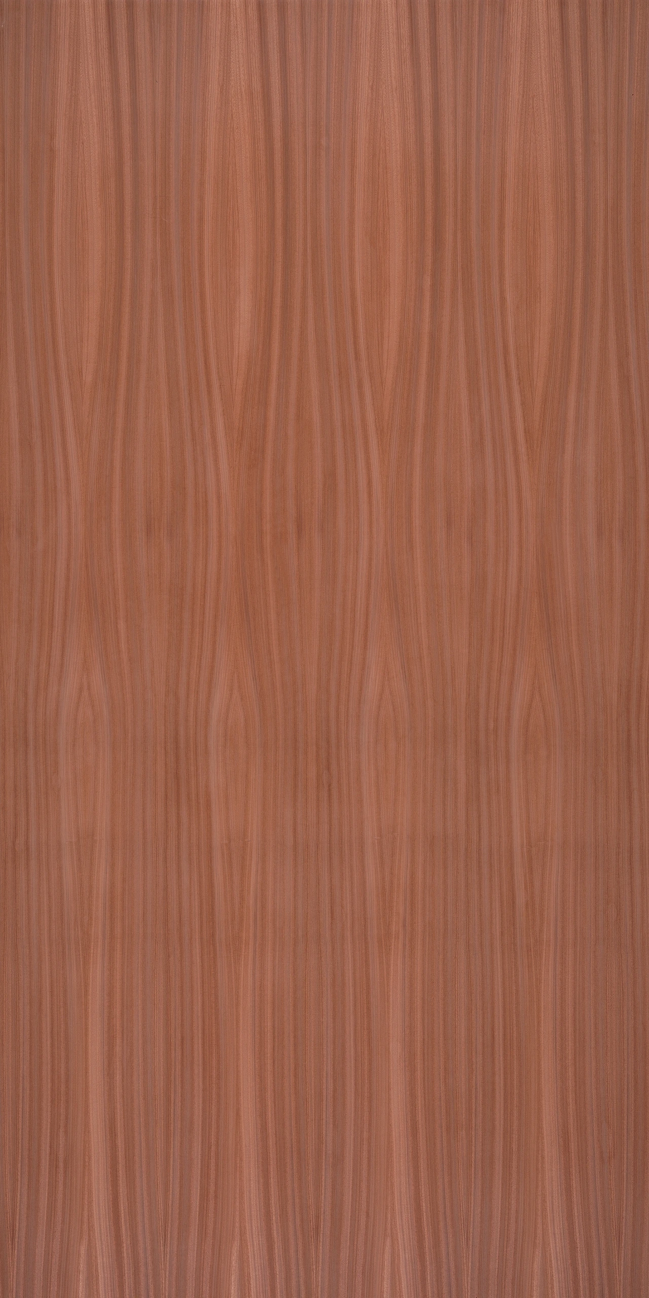 picture alternative text