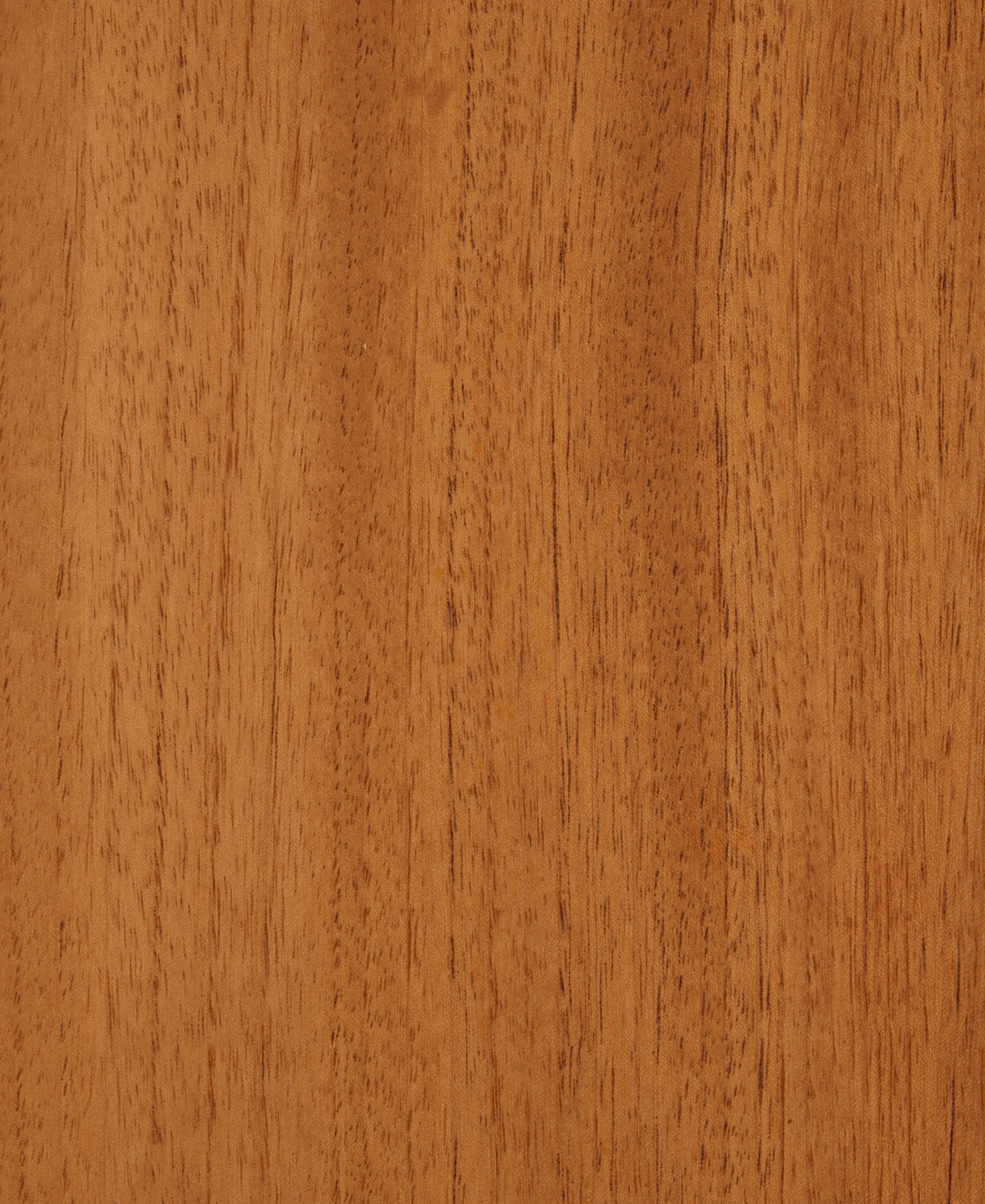 picture alternative text