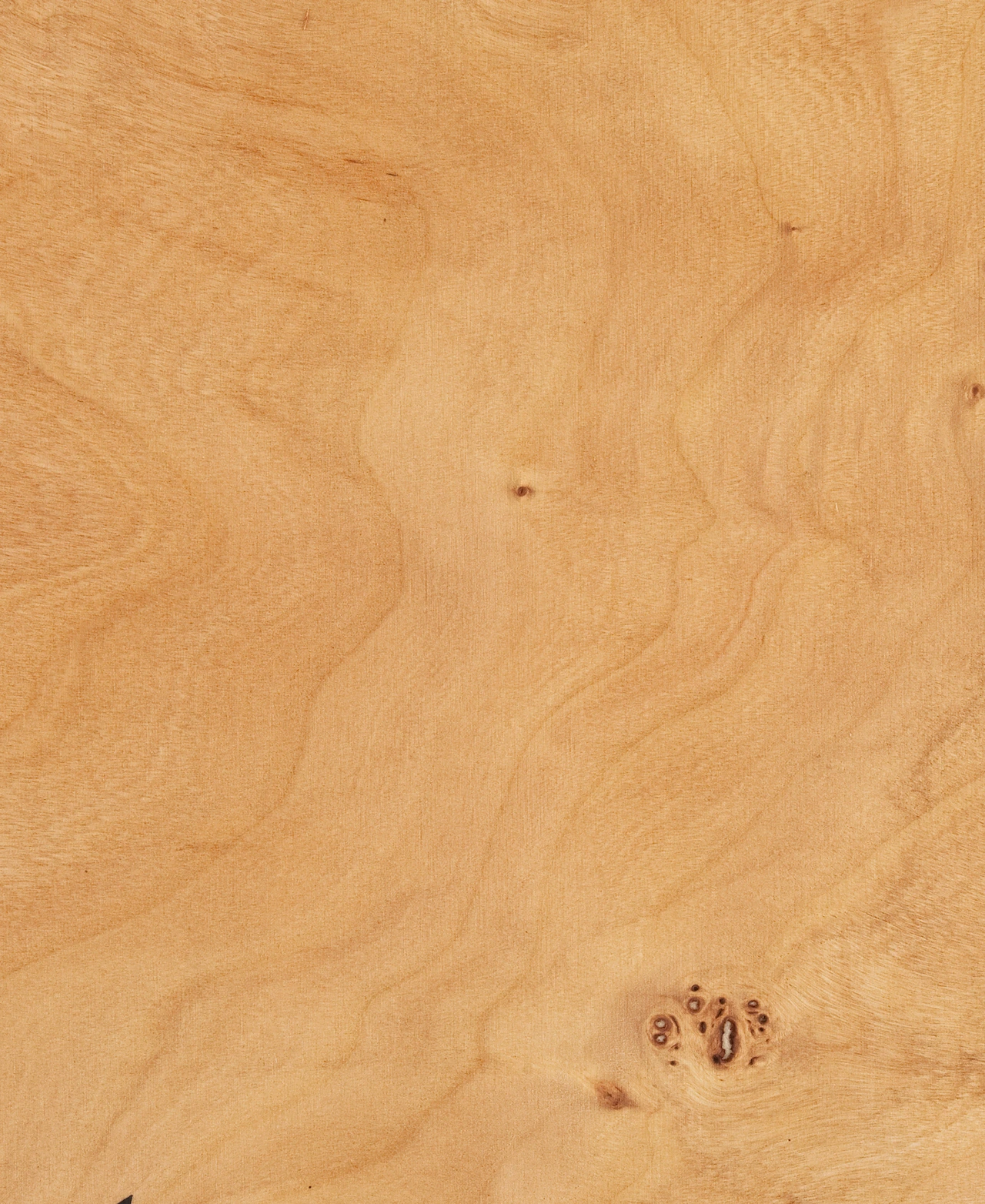 picture alternative text