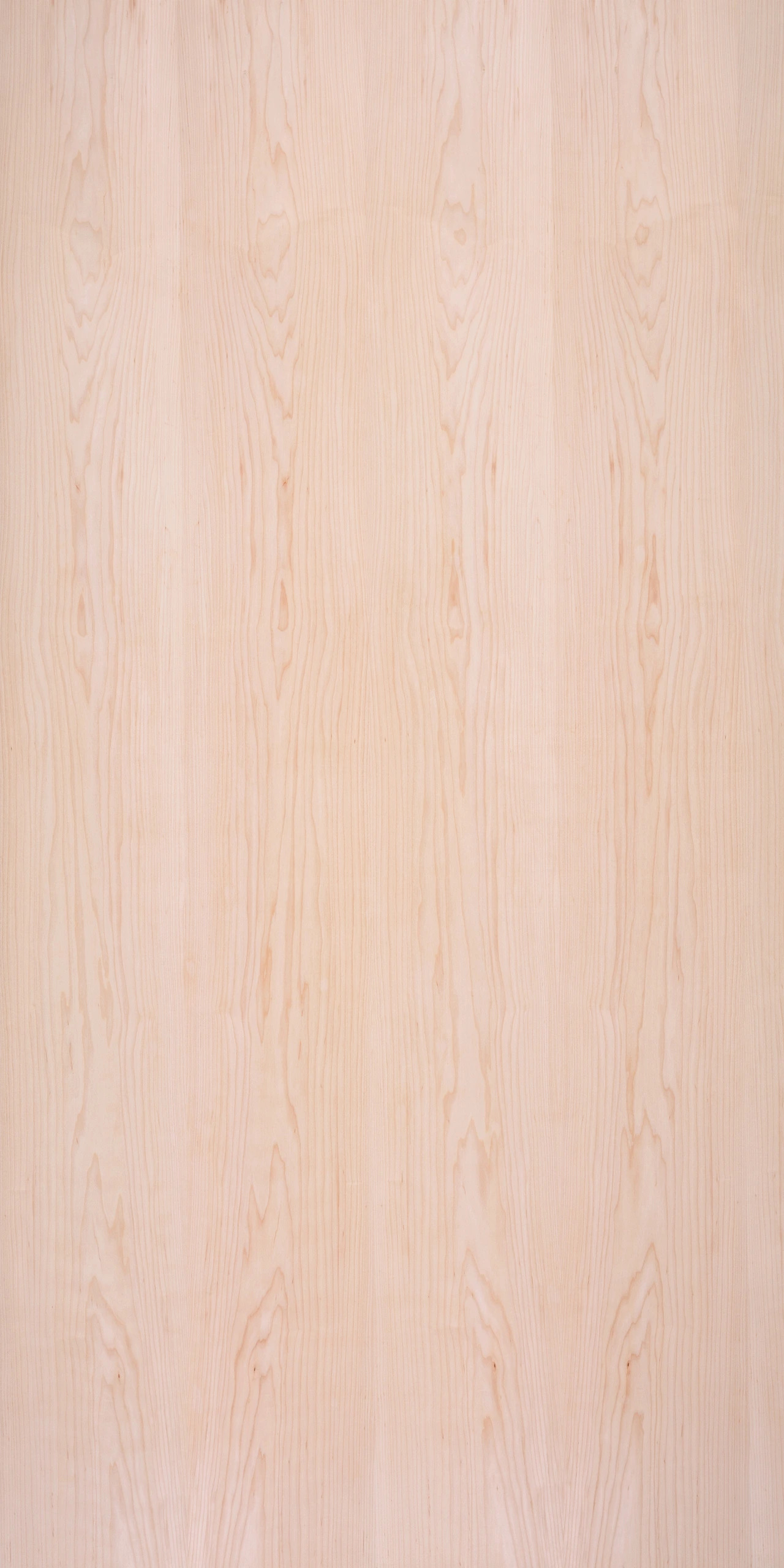 picture alternative text