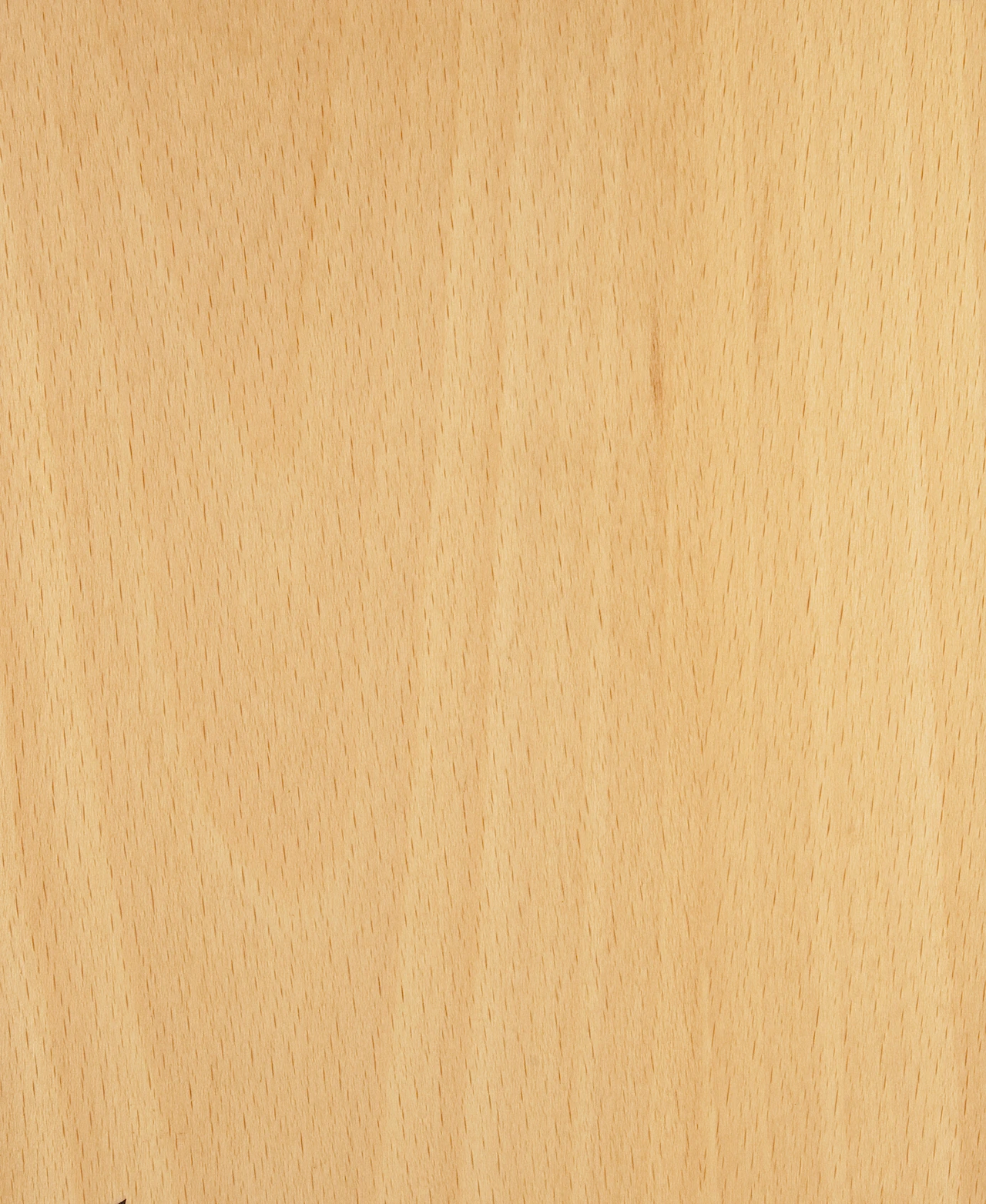 picture alternative text