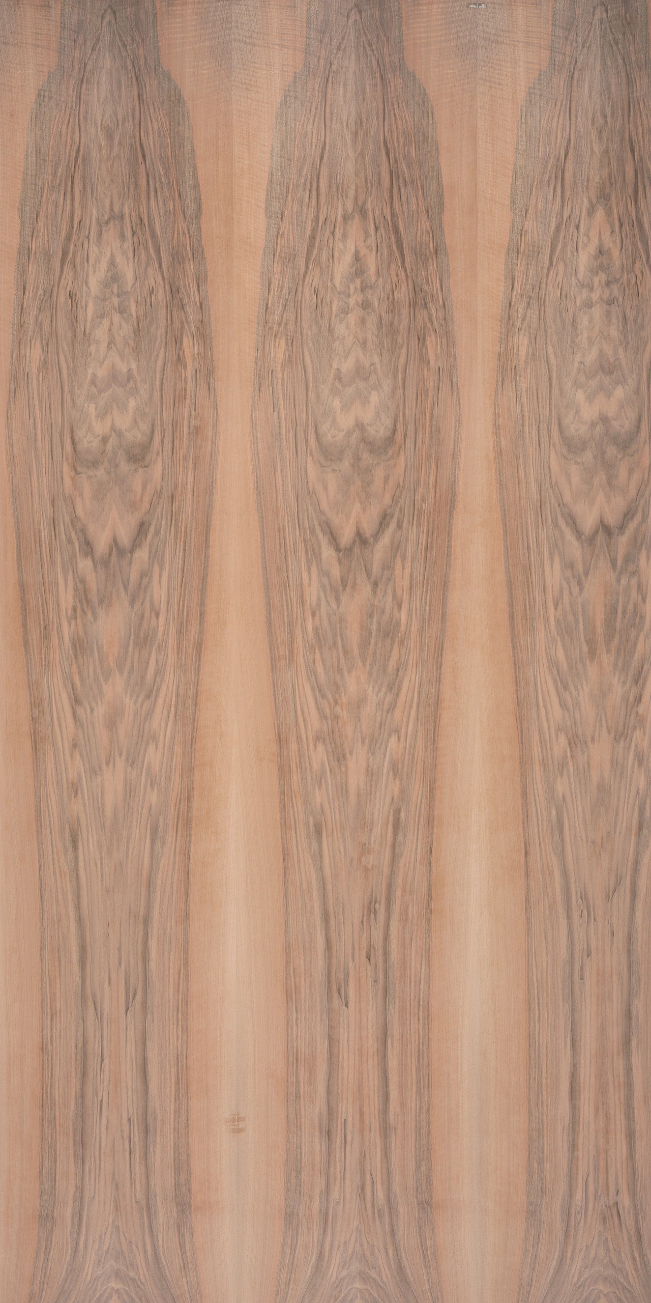 picture alternative text