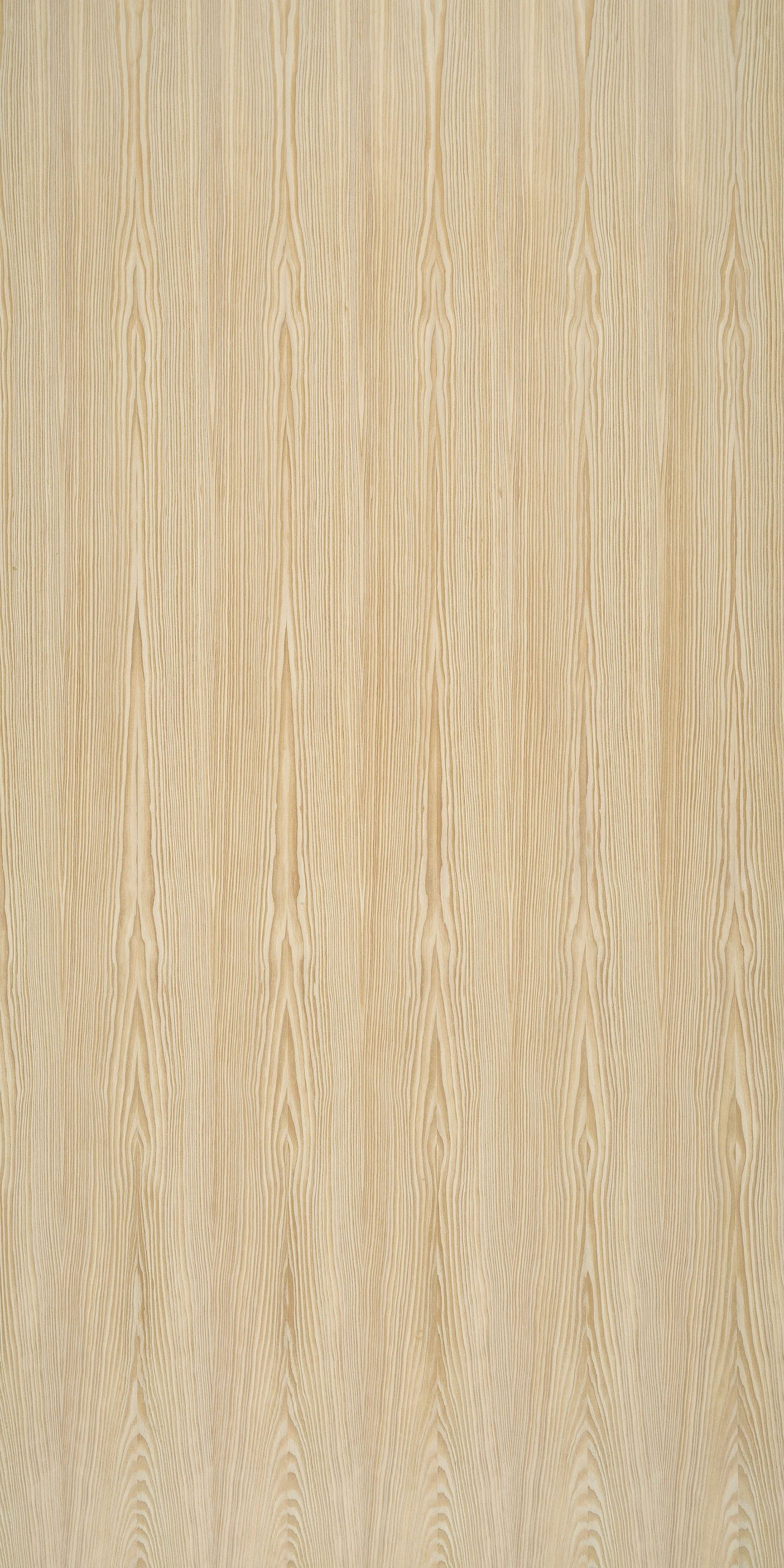 picture alternative text