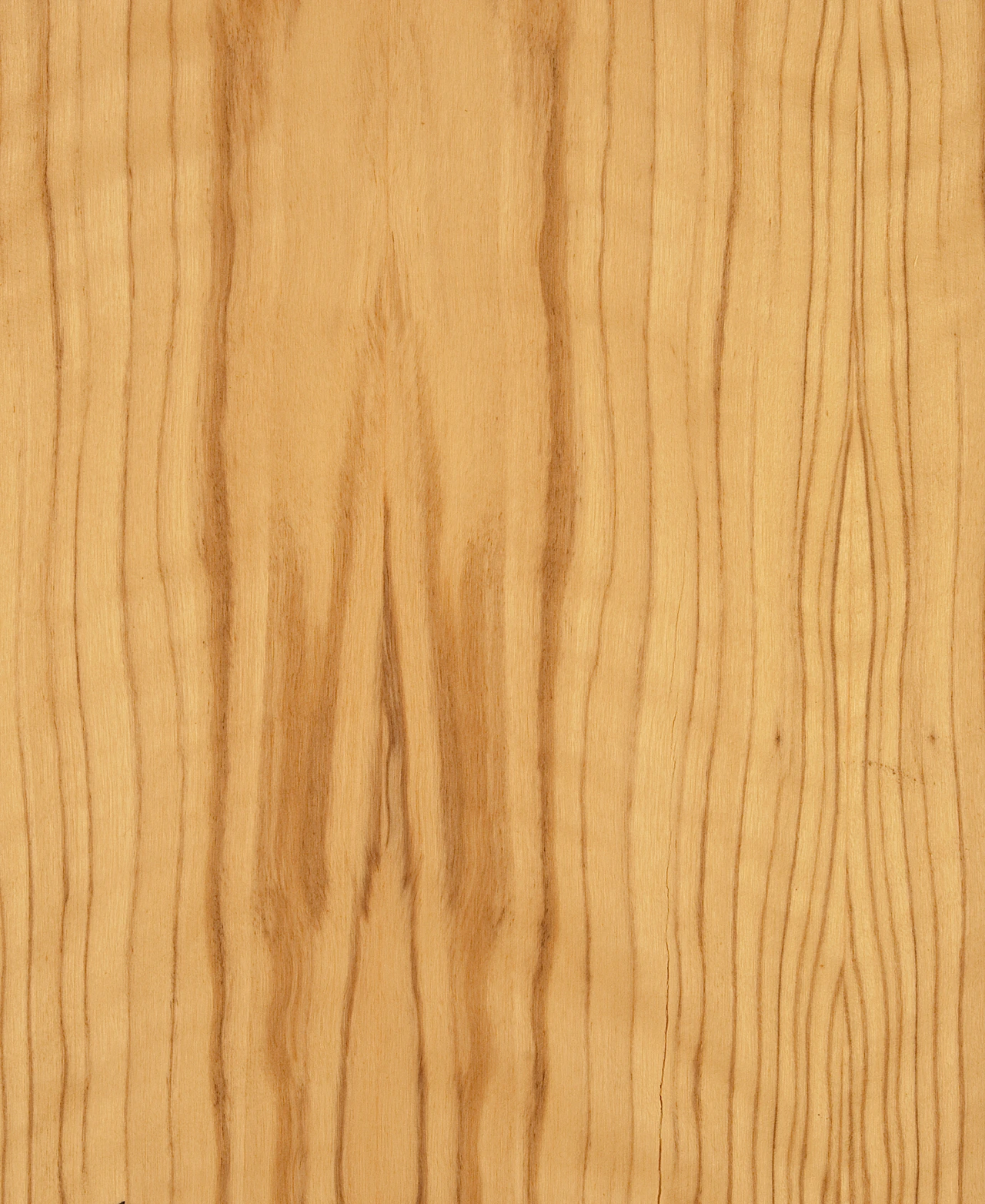 picture alternative text