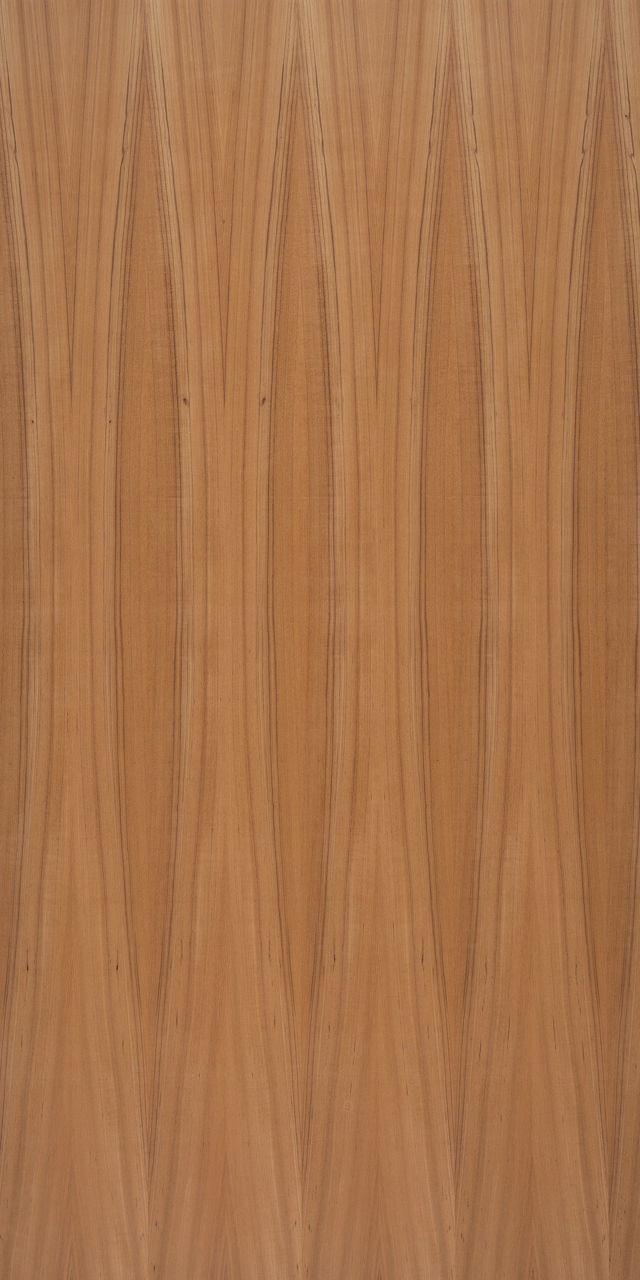 picture alternative text