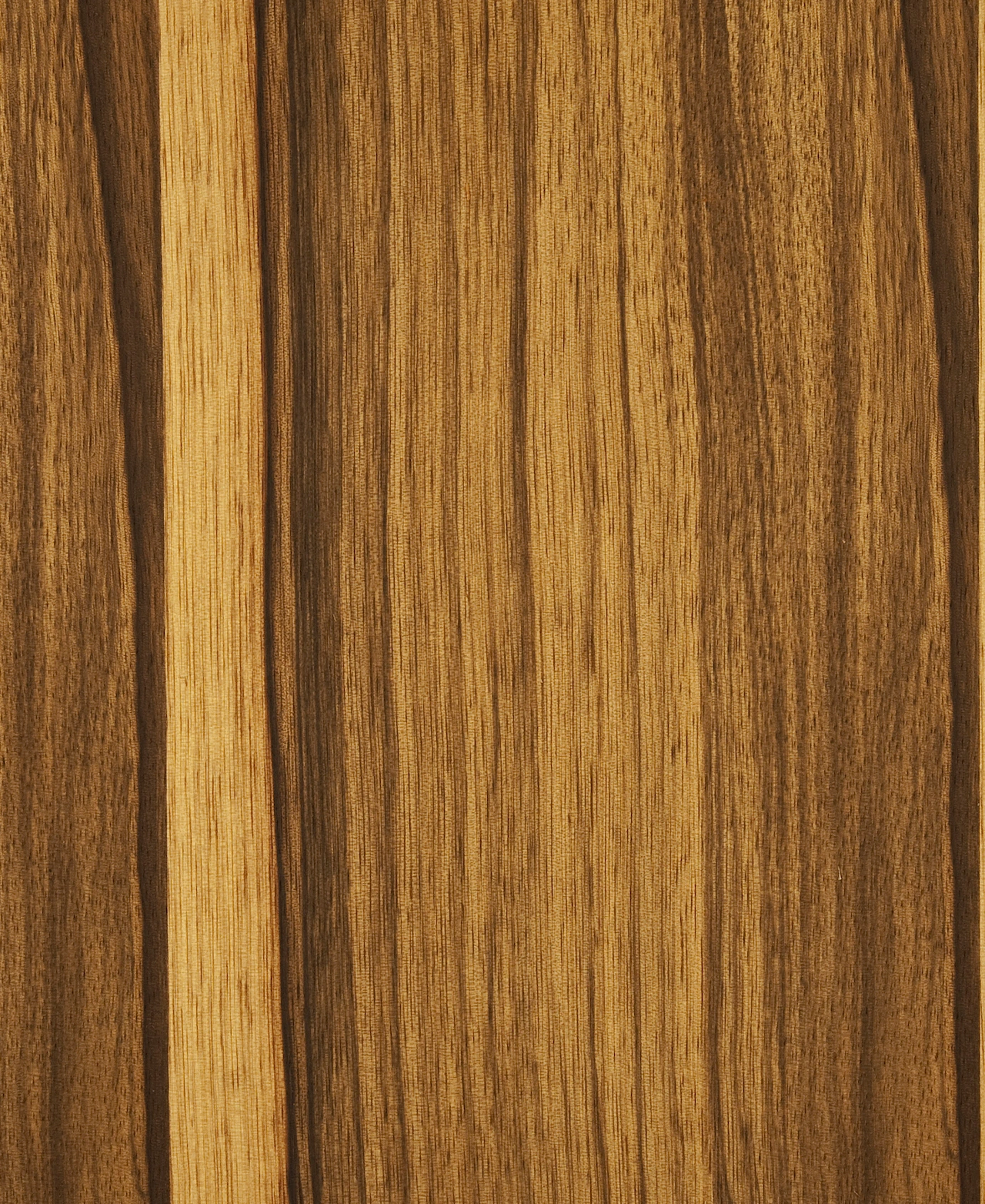 picture alternative text