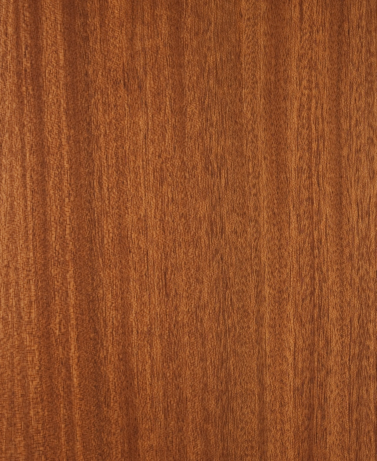 picture alternative text