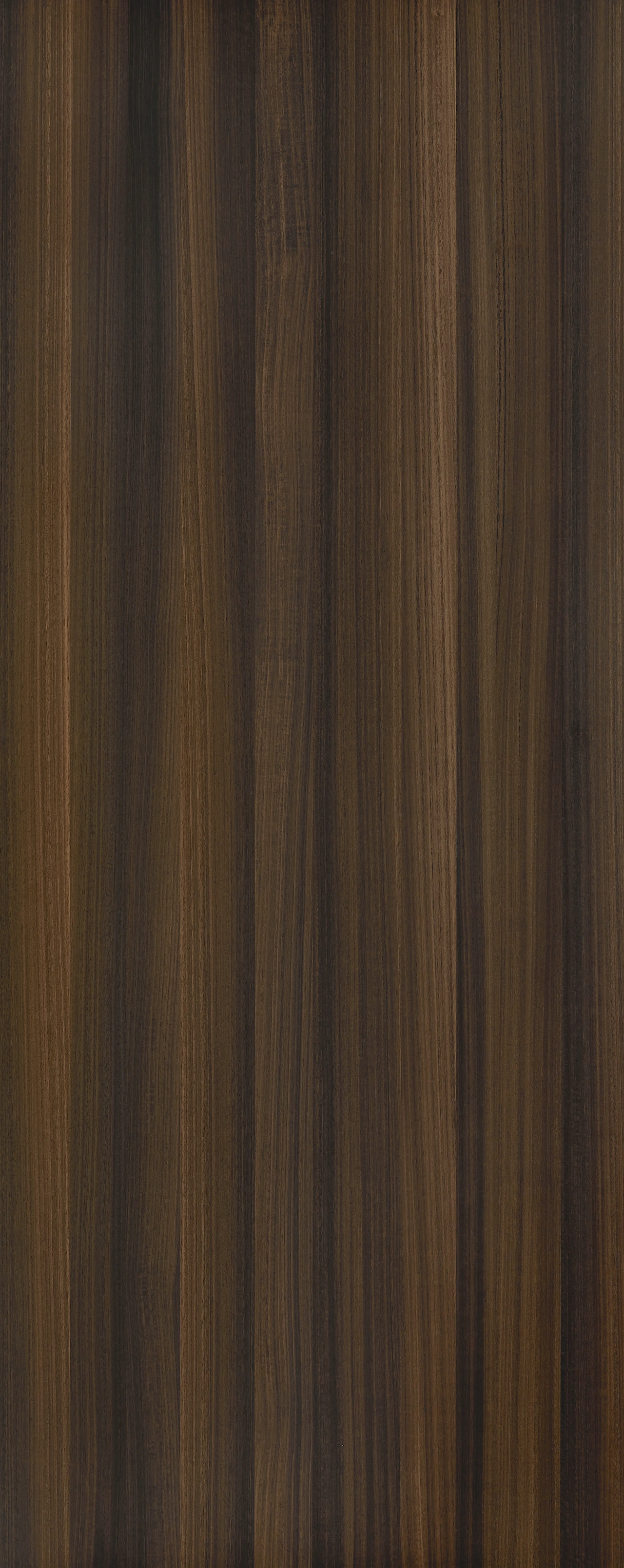 picture alternative text