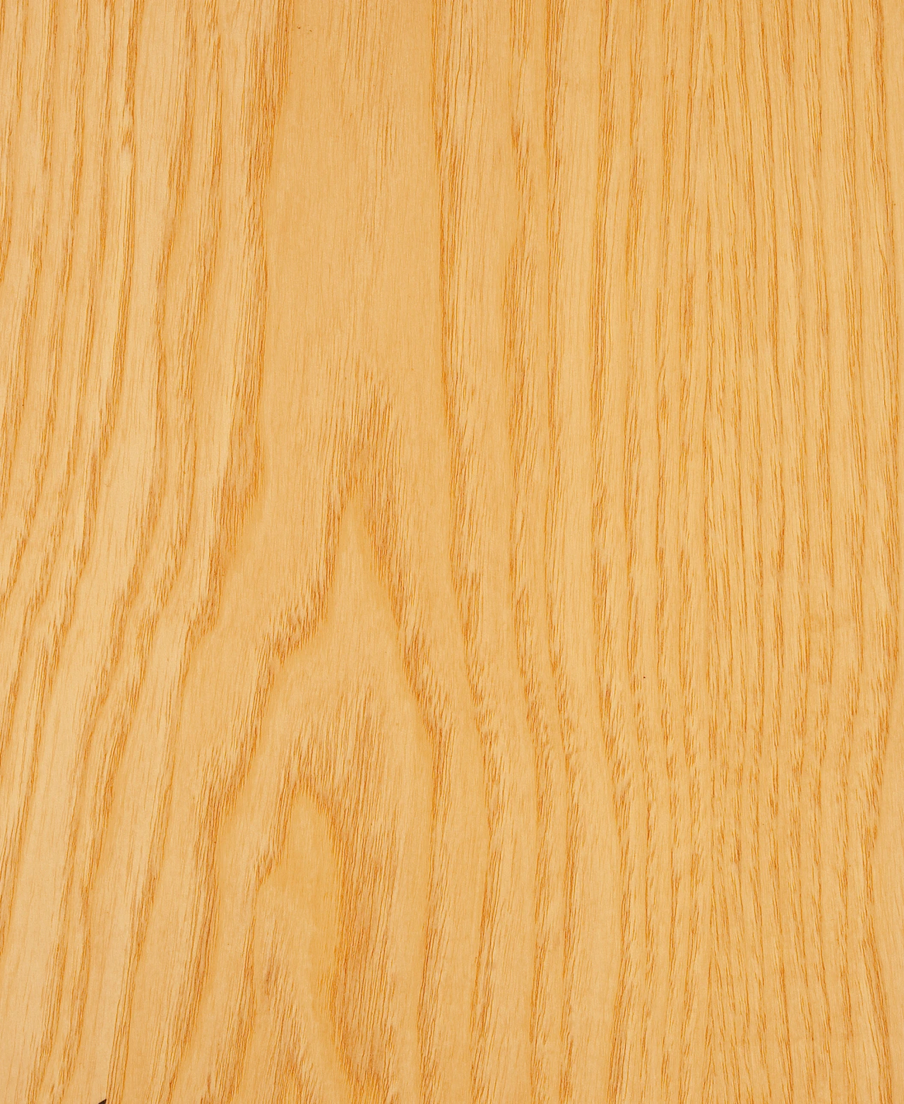 picture alternative text