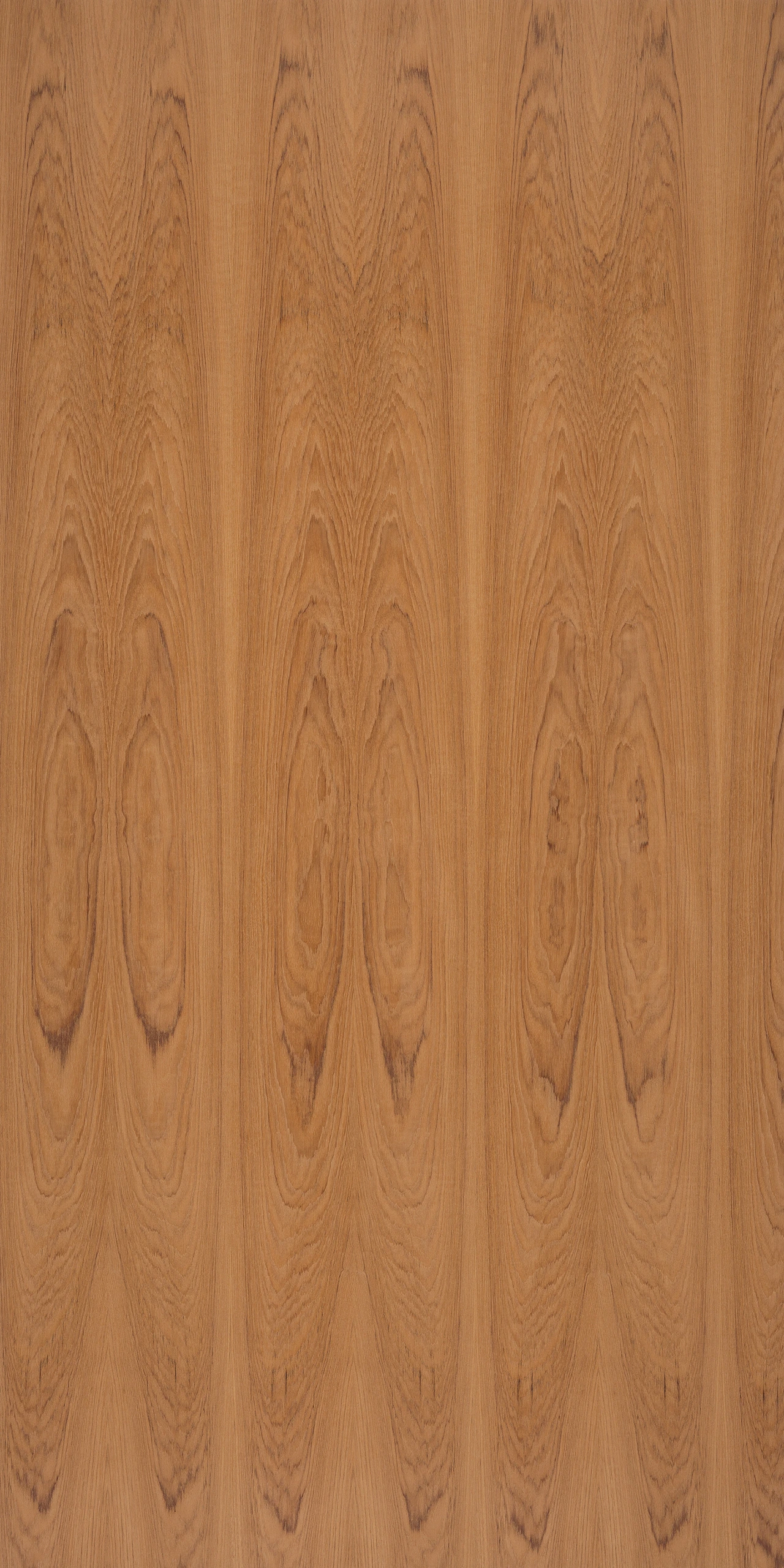 picture alternative text