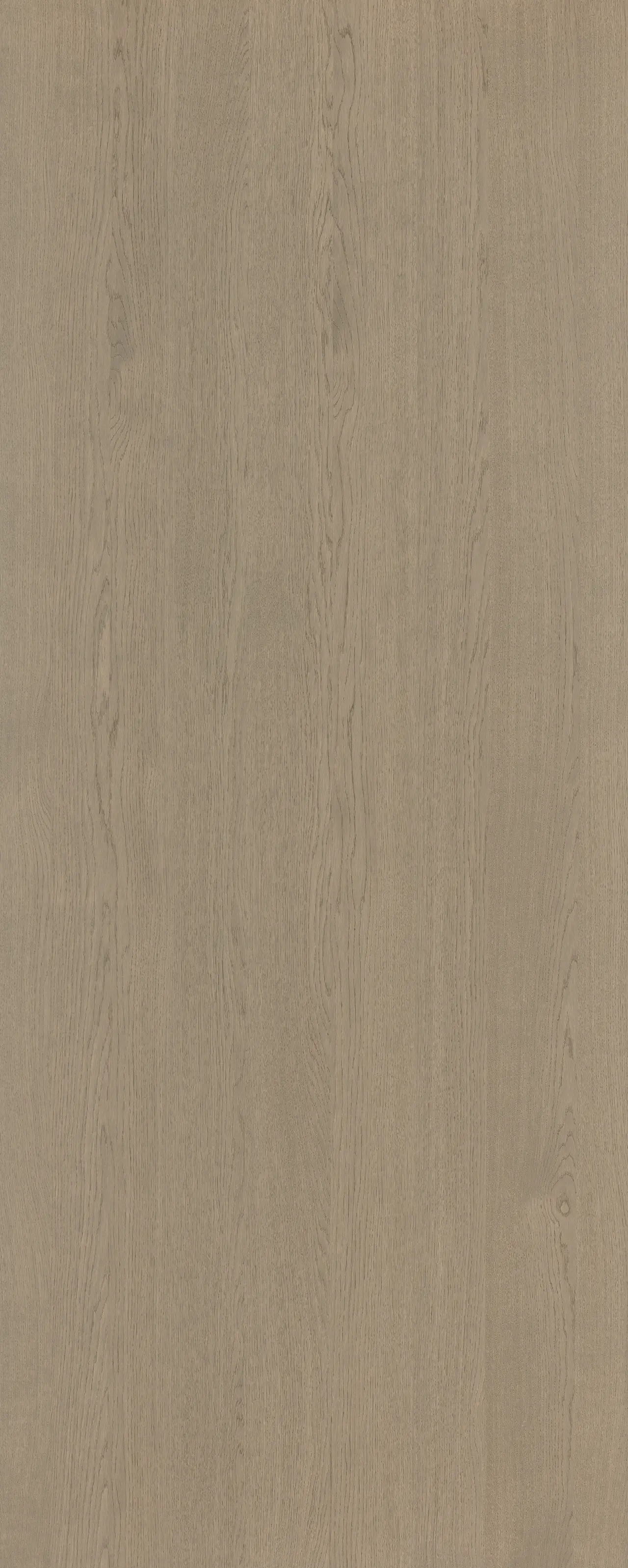 picture alternative text