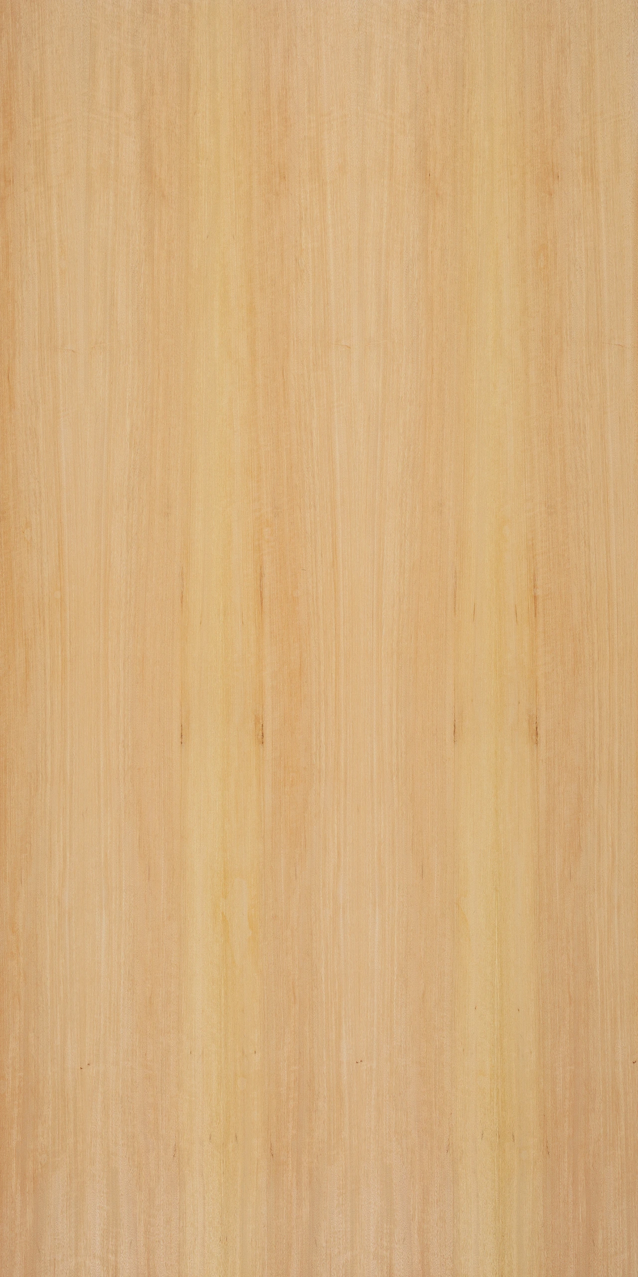 picture alternative text