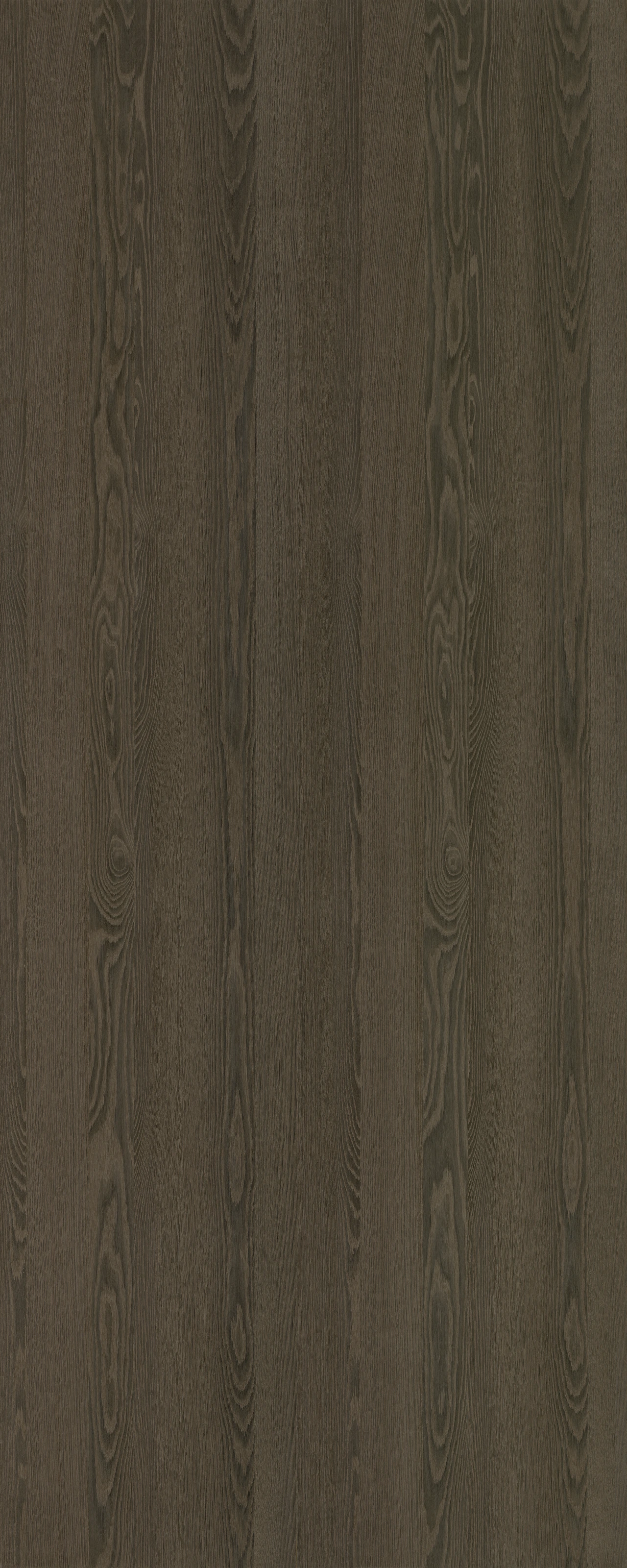 picture alternative text