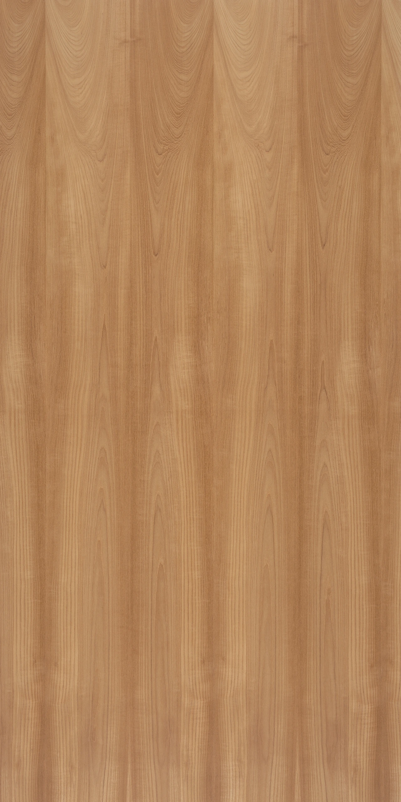 picture alternative text