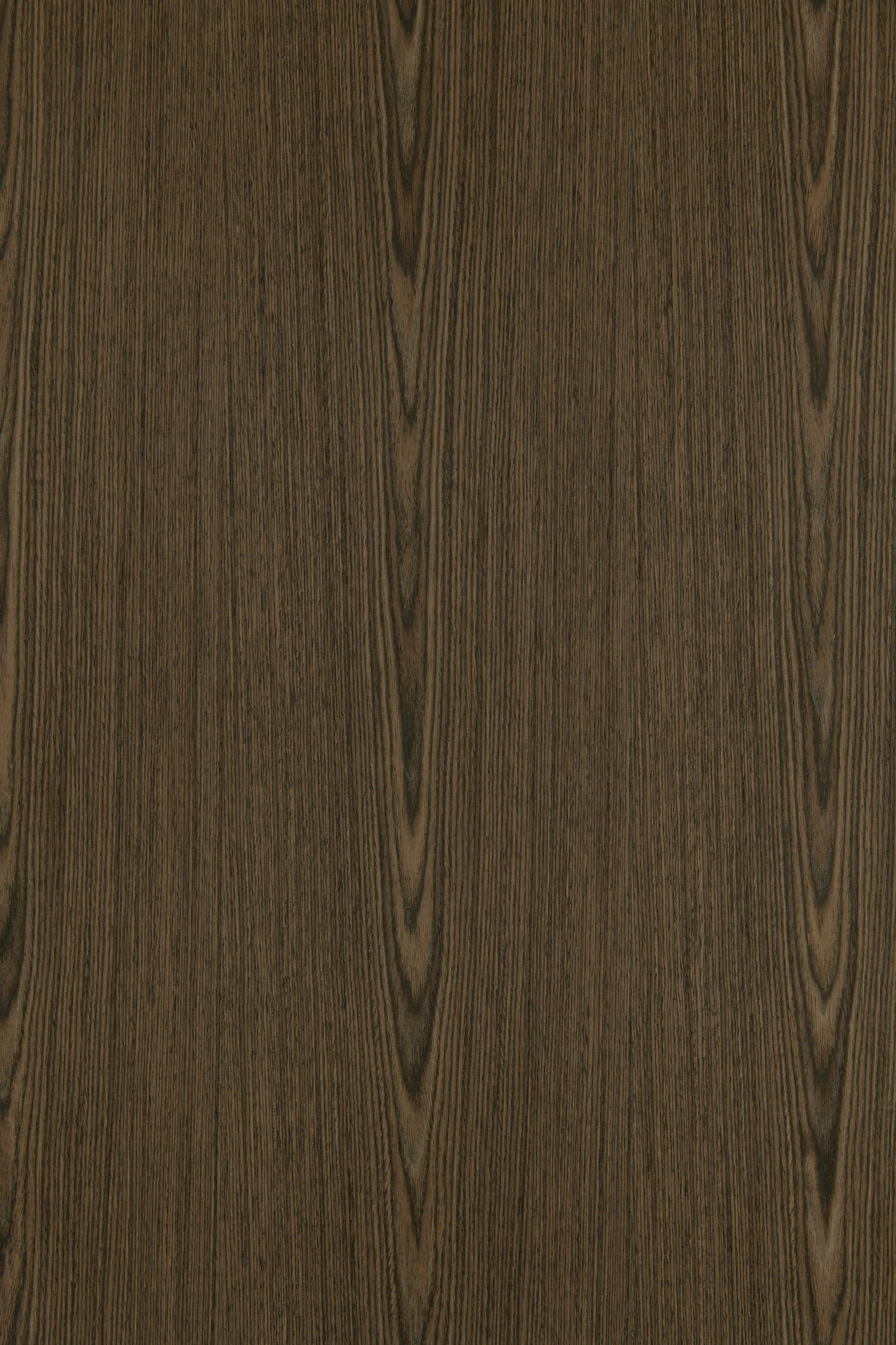 picture alternative text