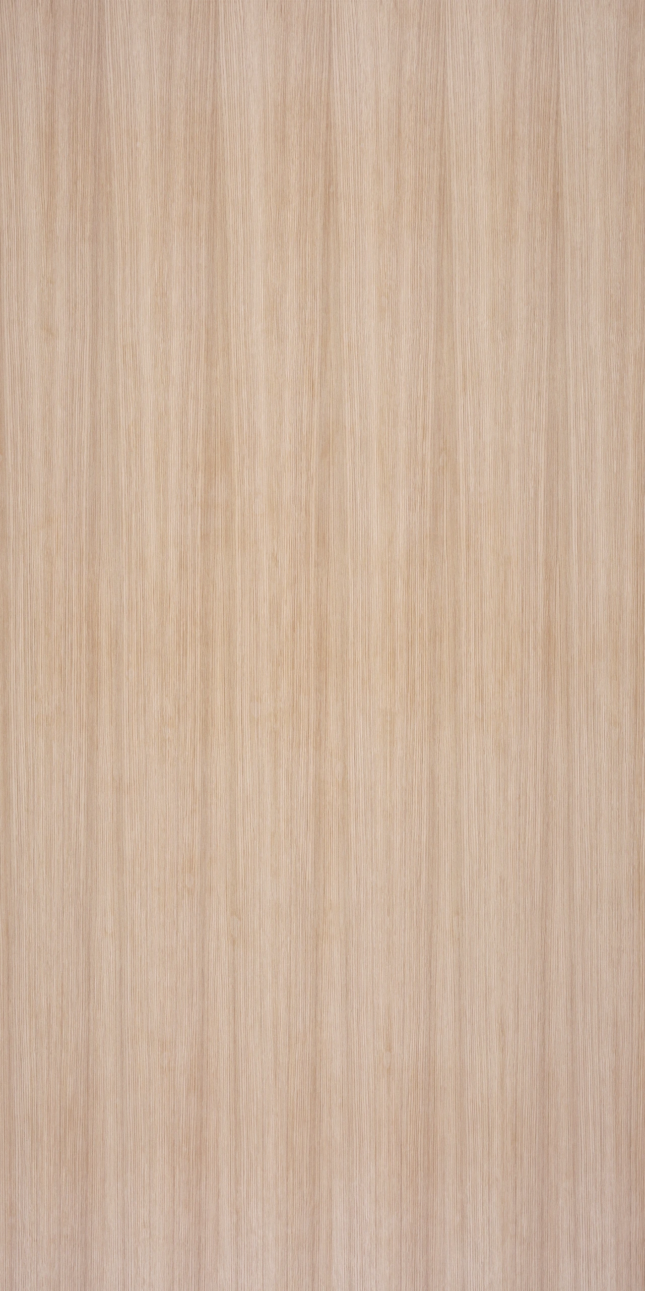 picture alternative text