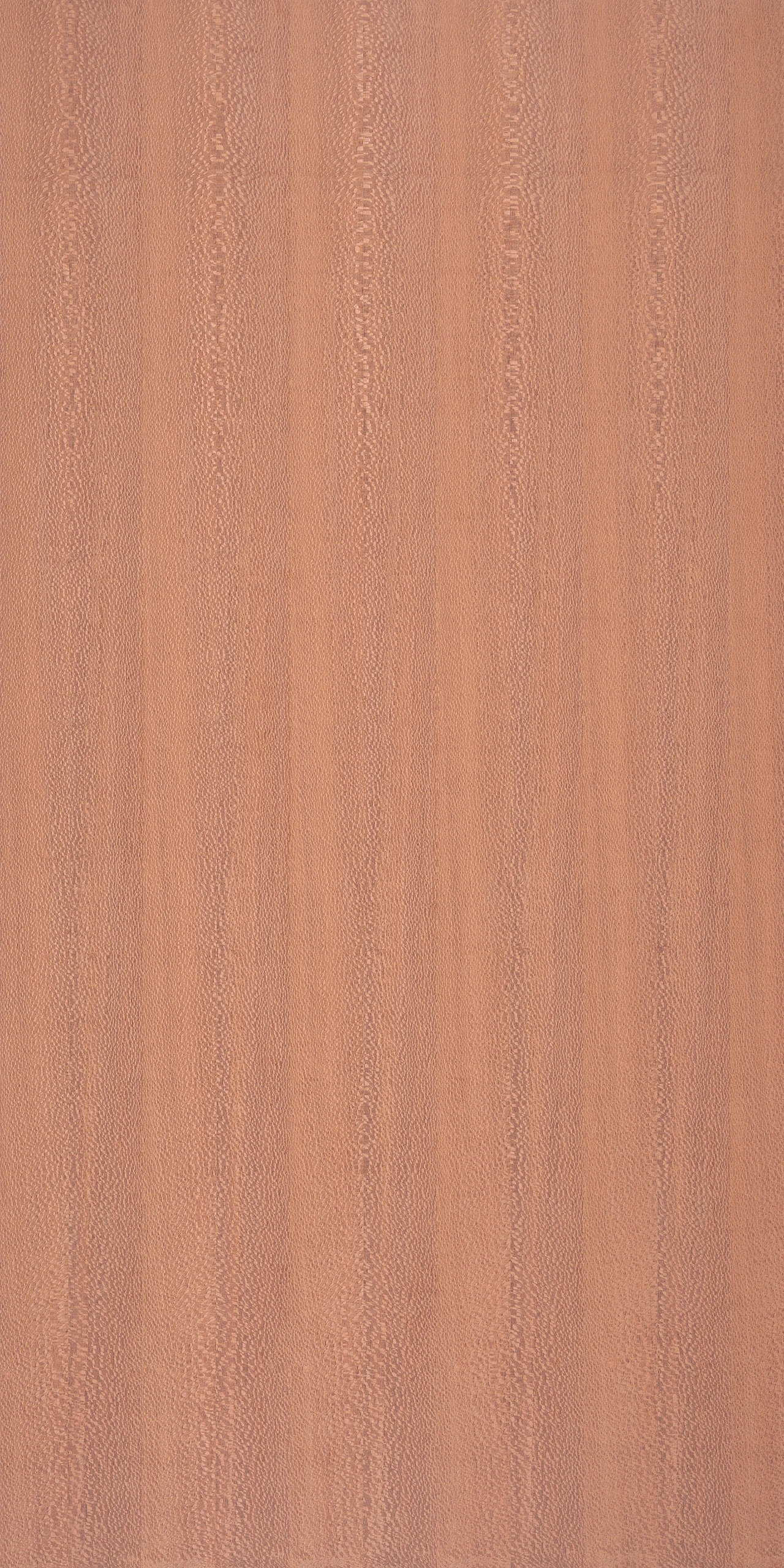 picture alternative text