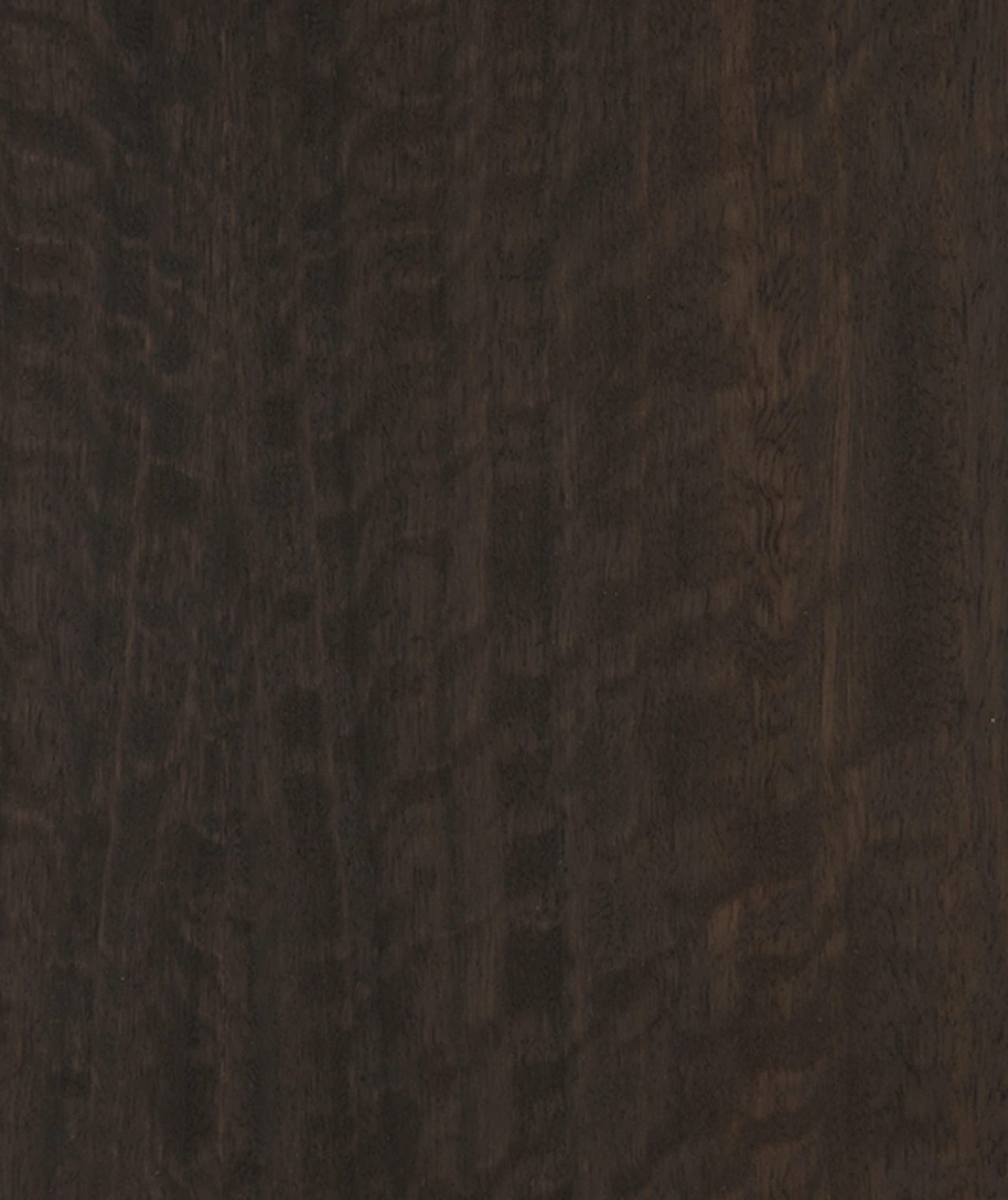 picture alternative text