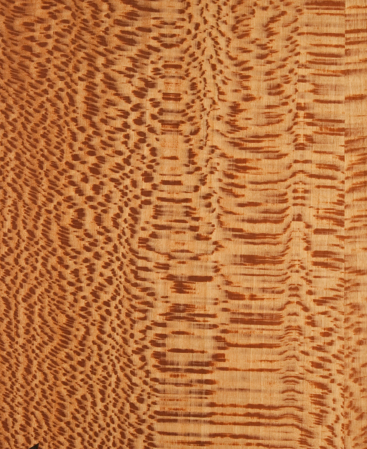 picture alternative text