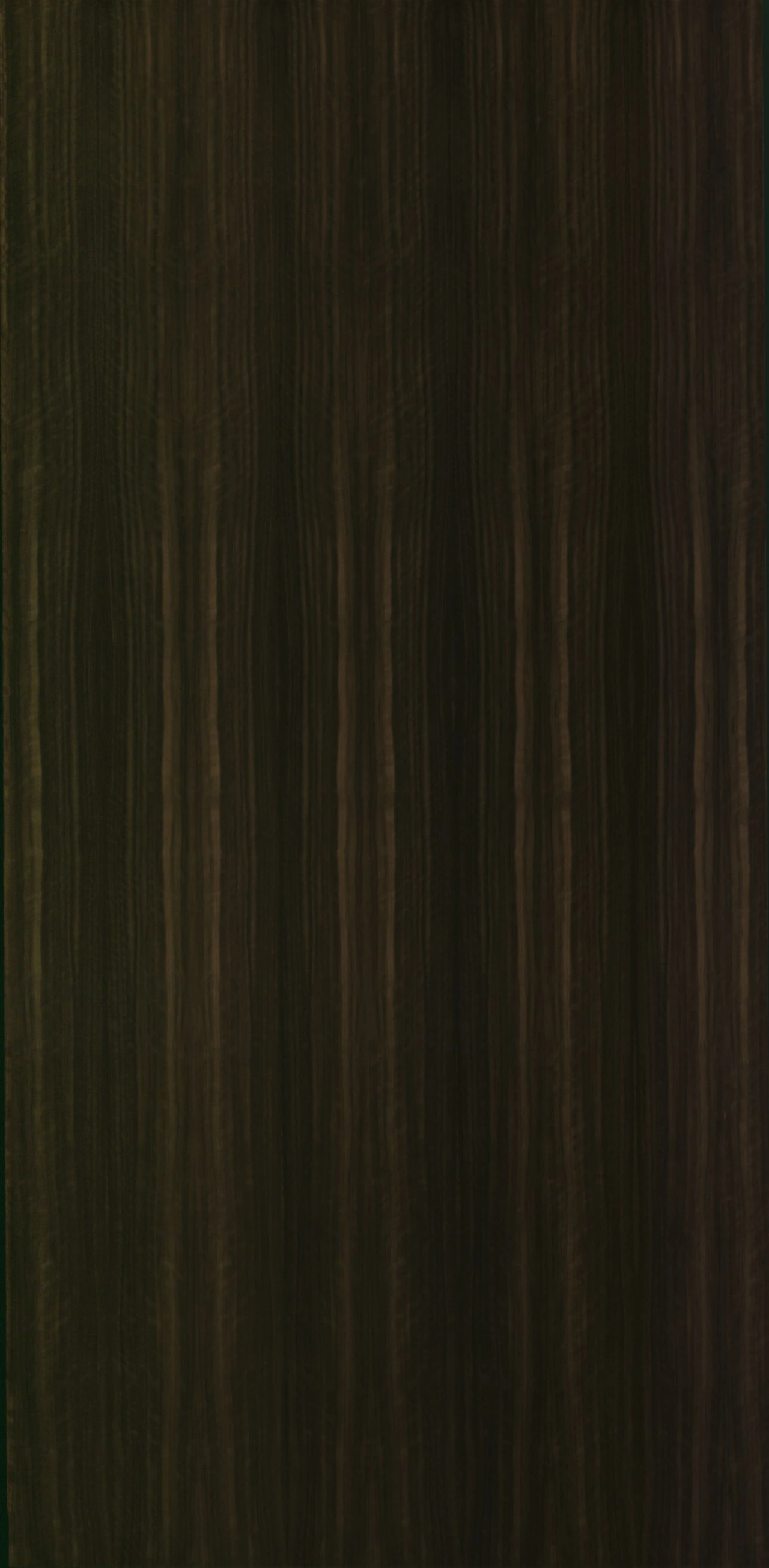 Eucalyptus Ondé Smoked - book matched