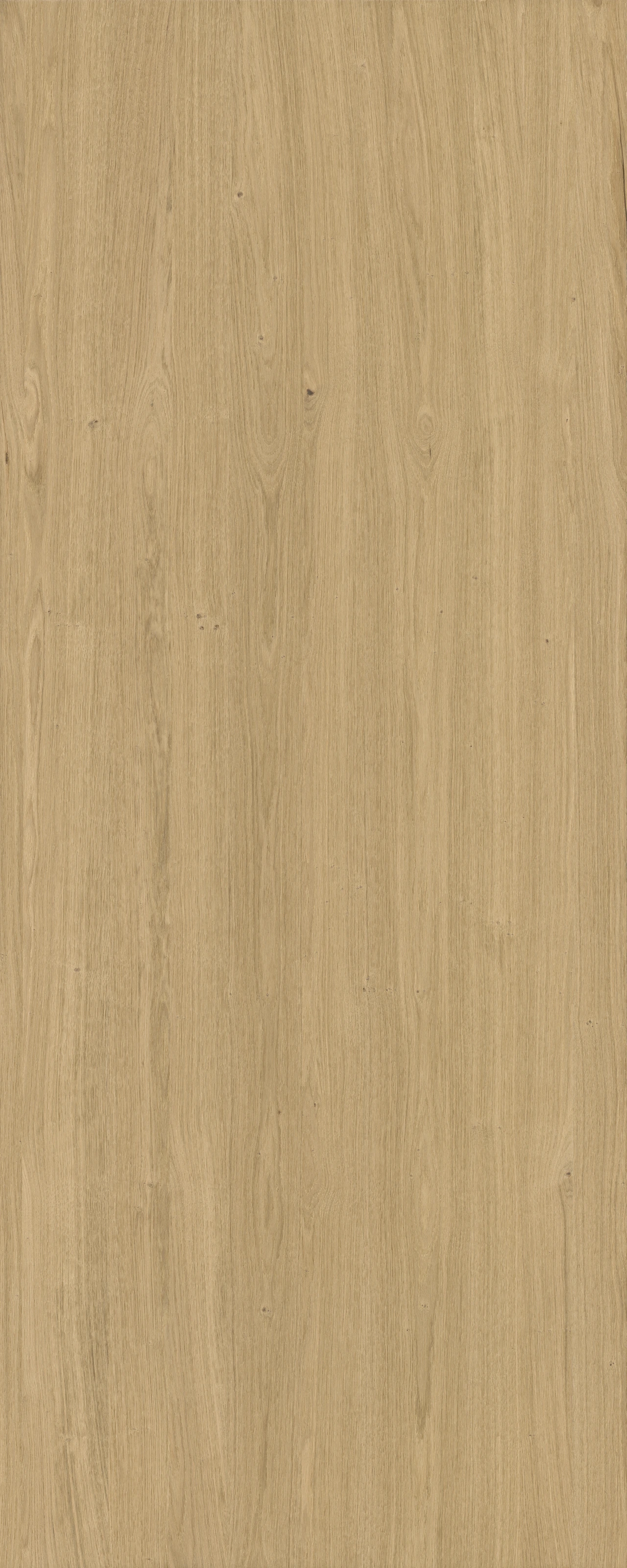 picture alternative text