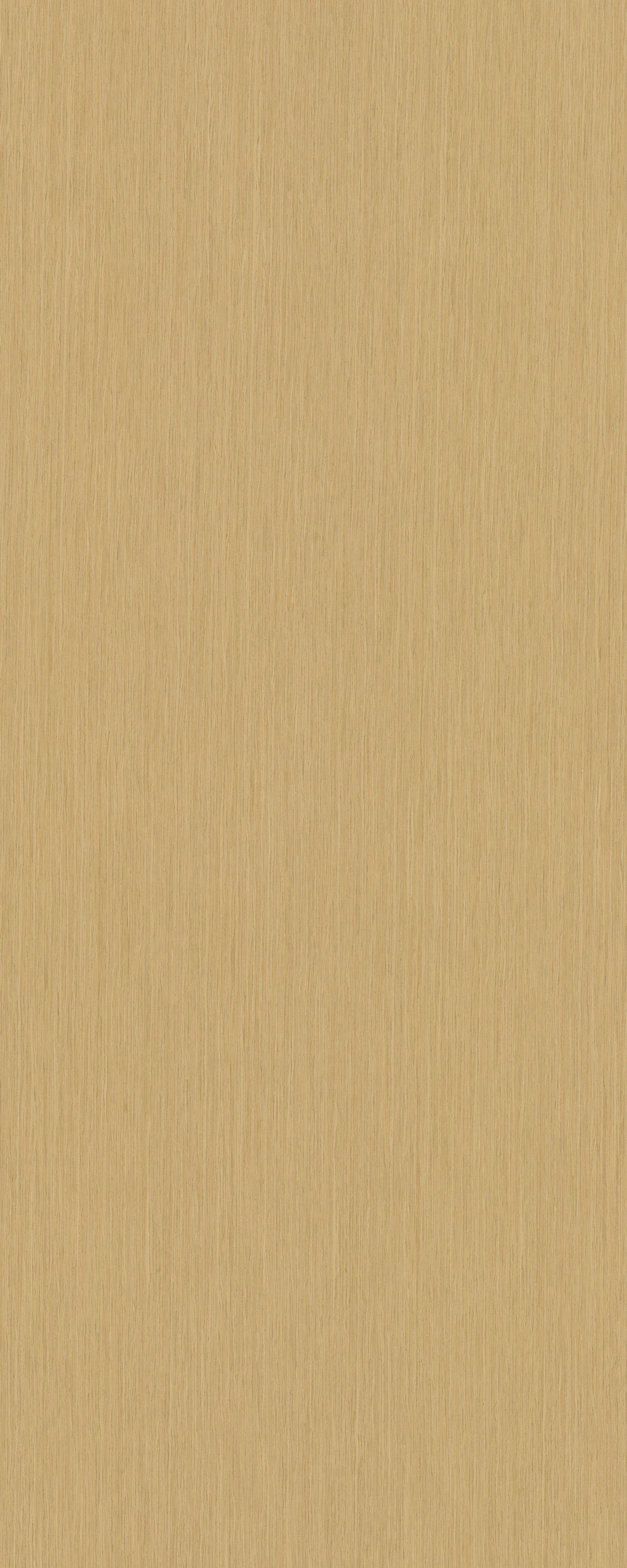 picture alternative text