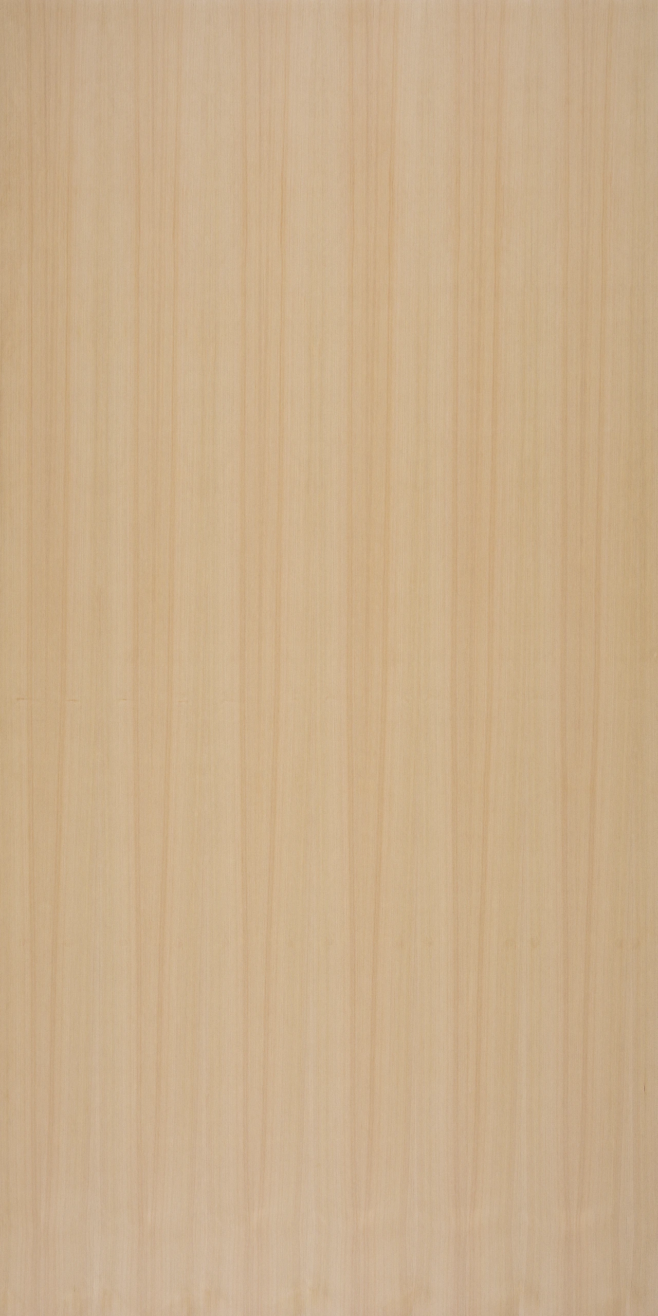 picture alternative text