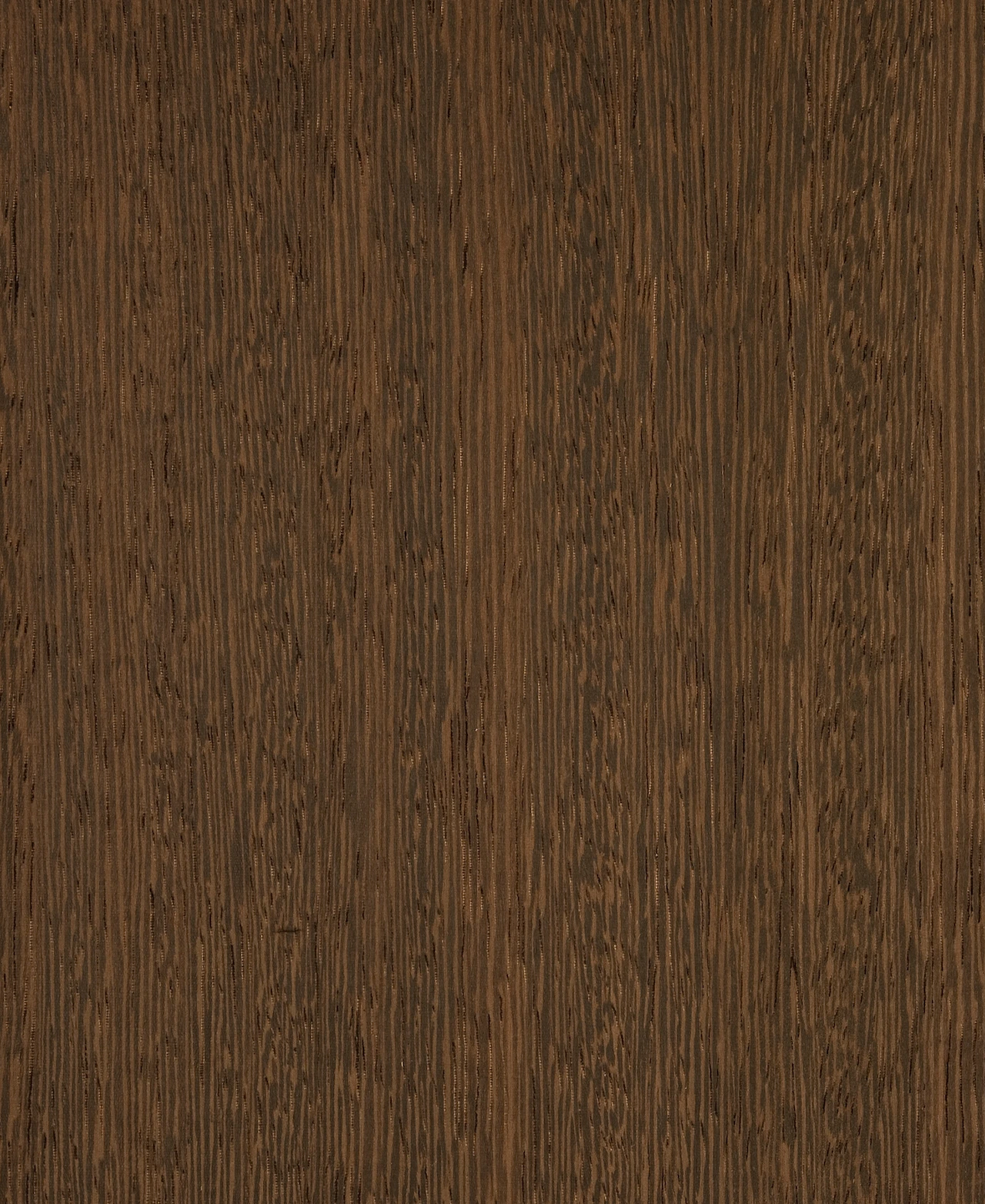 picture alternative text