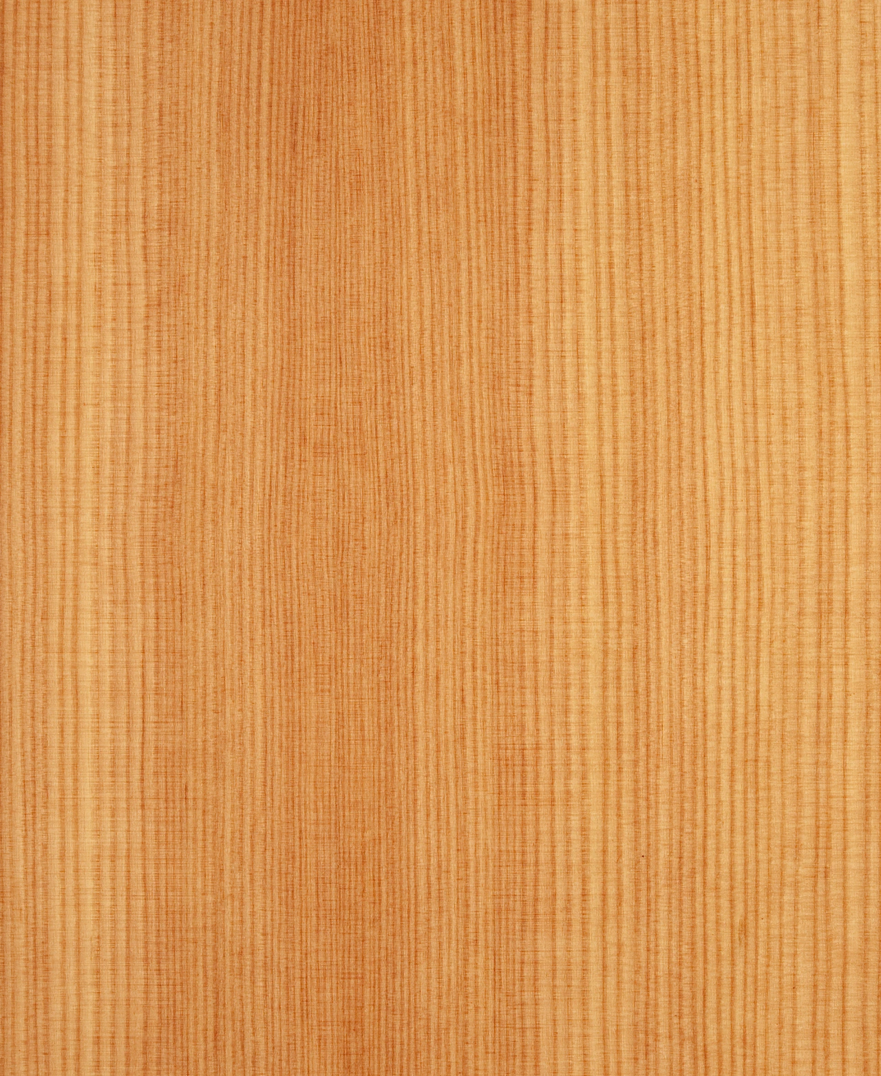 picture alternative text