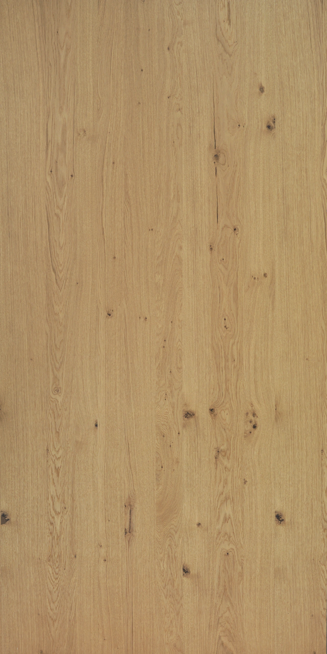 picture alternative text