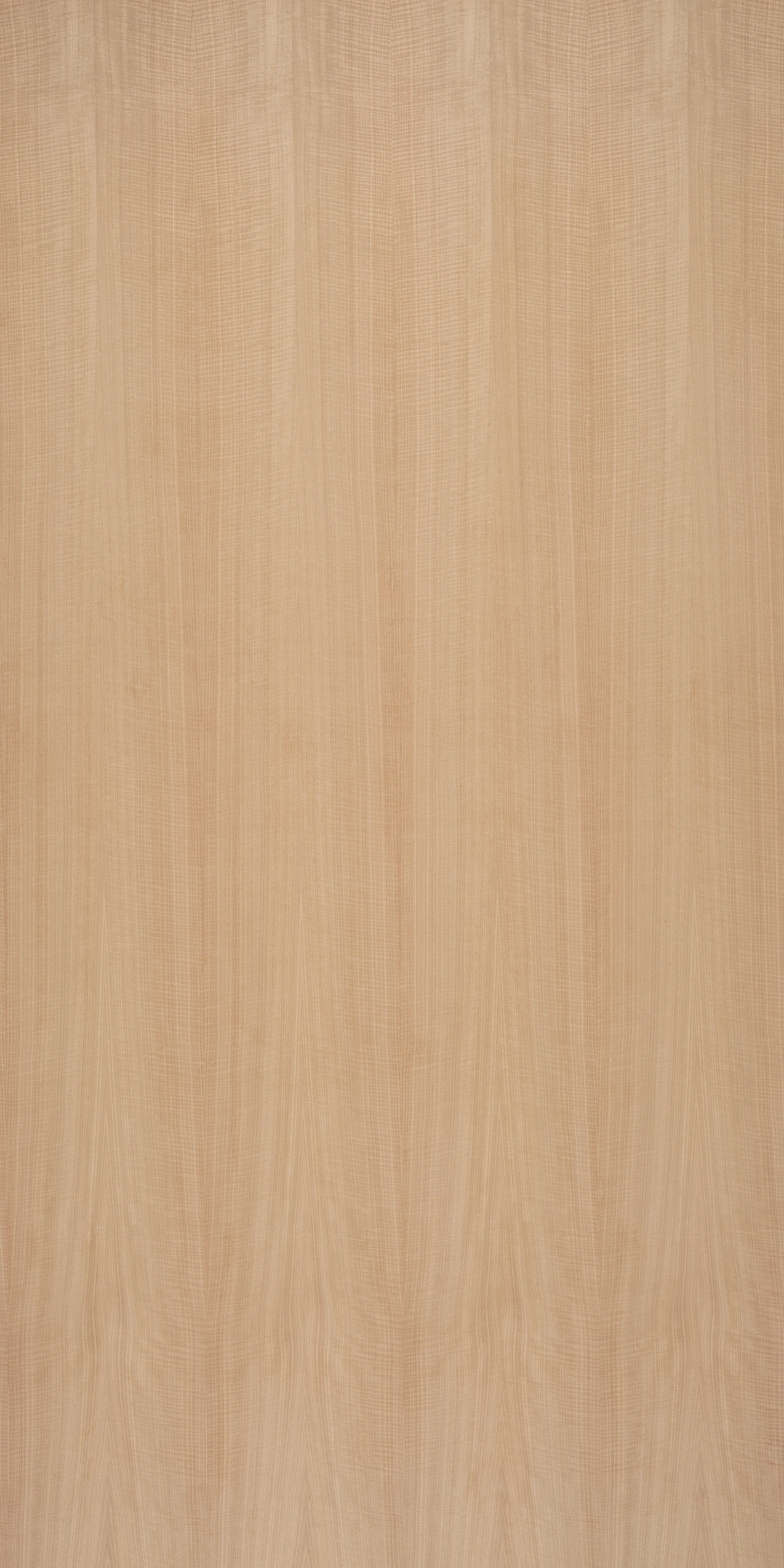 picture alternative text