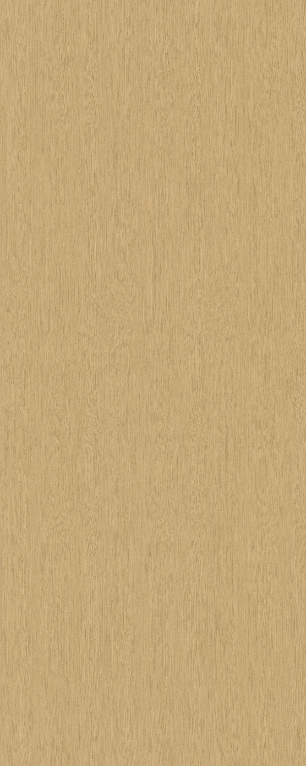 picture alternative text