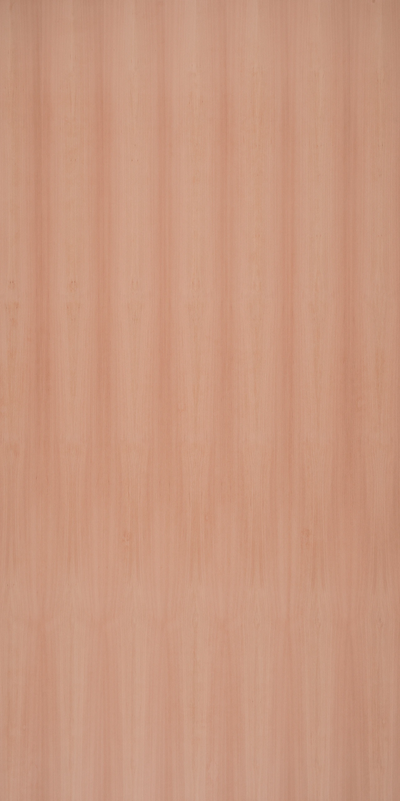 picture alternative text